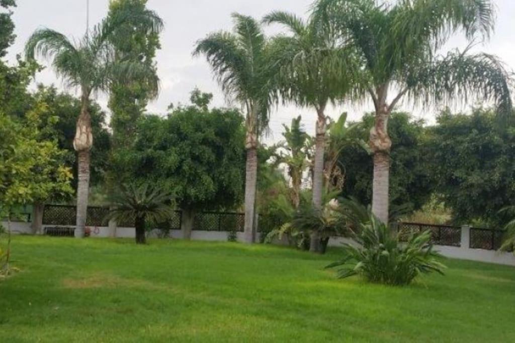 Hotel 3-bedroom House Near The Beach