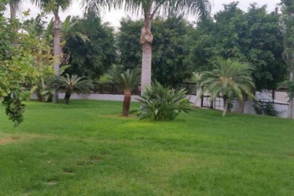 3-Bedroom House Near the Beach