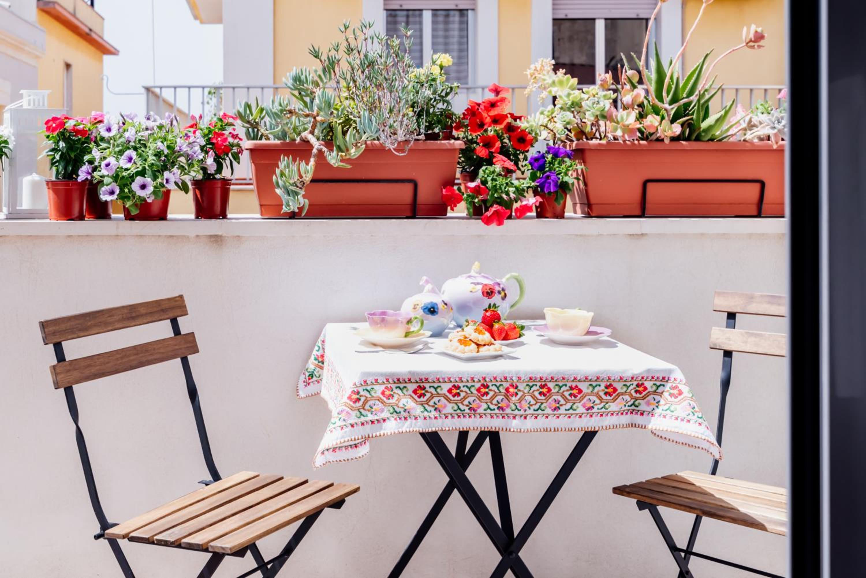 balance & terrace