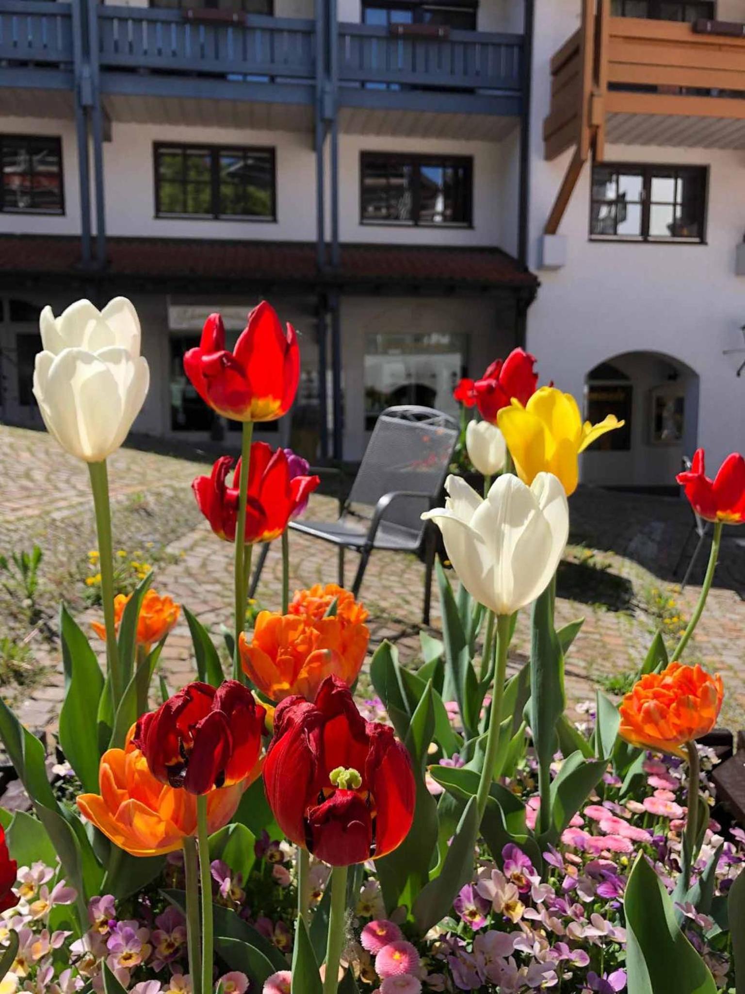 Appartement am Brunnenplatzl mit Bademantelzugang