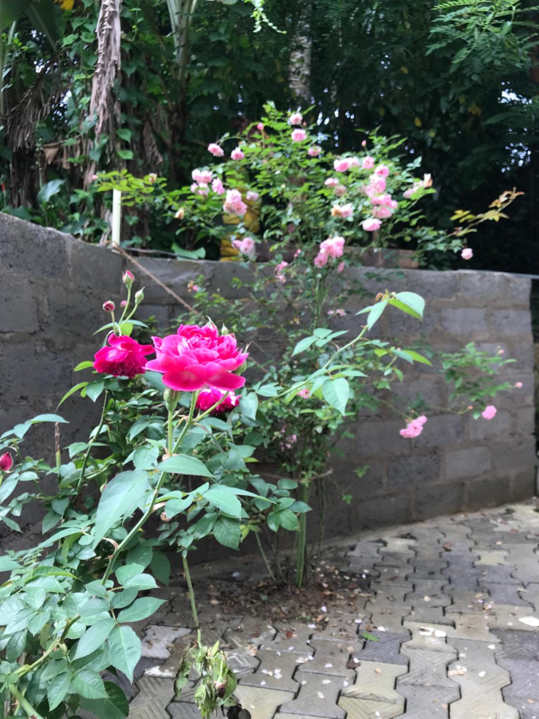 Photo 22