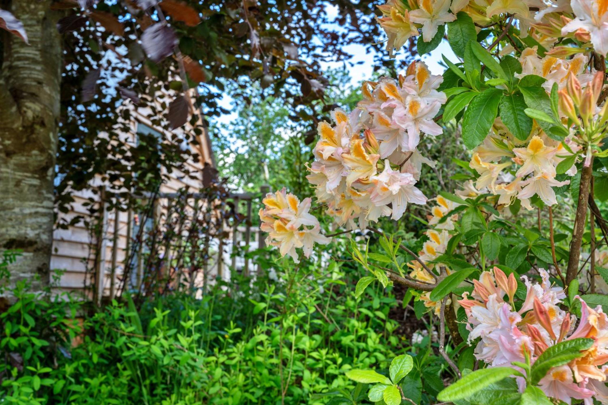 Photo 26