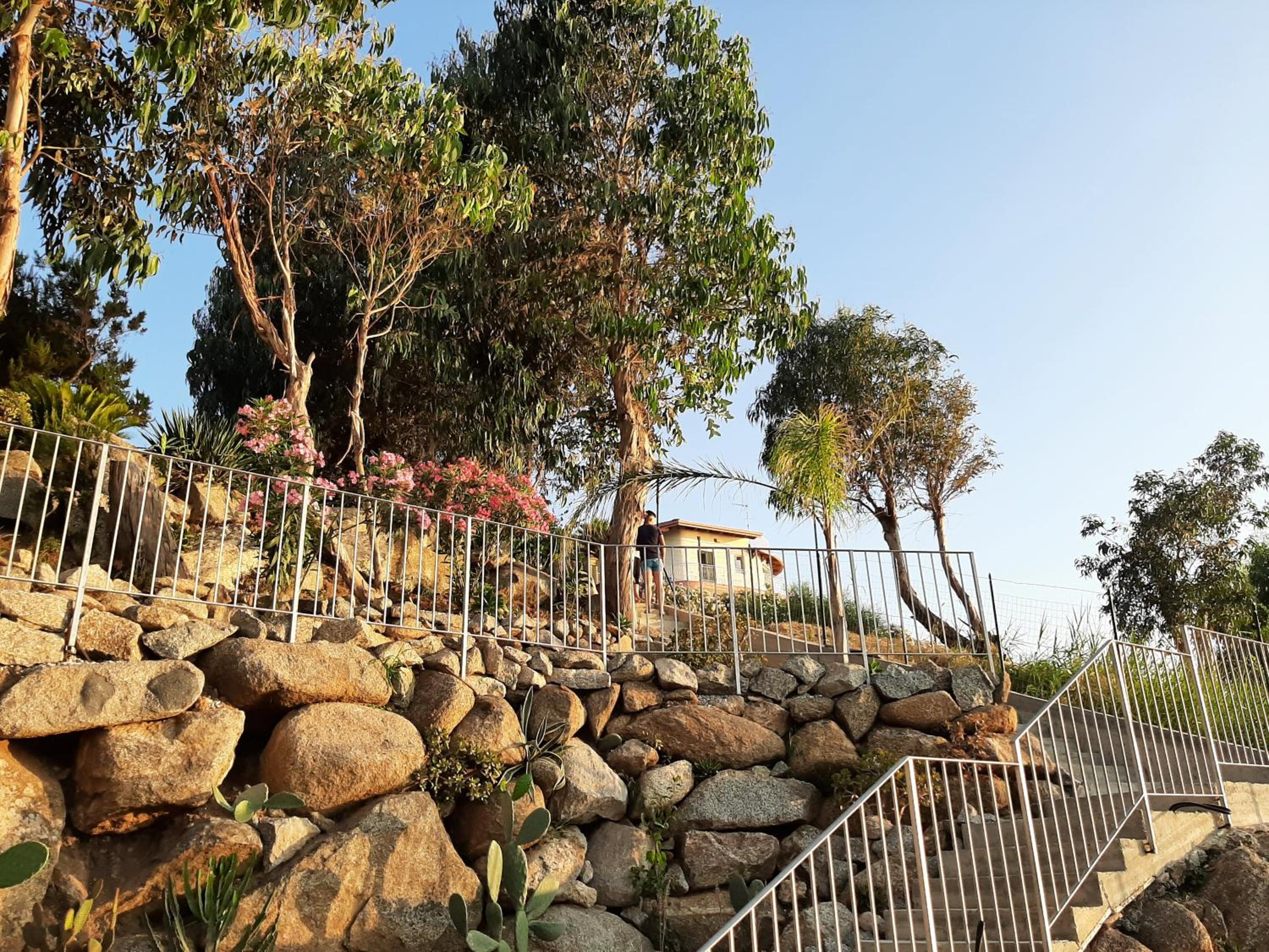 Photo 44