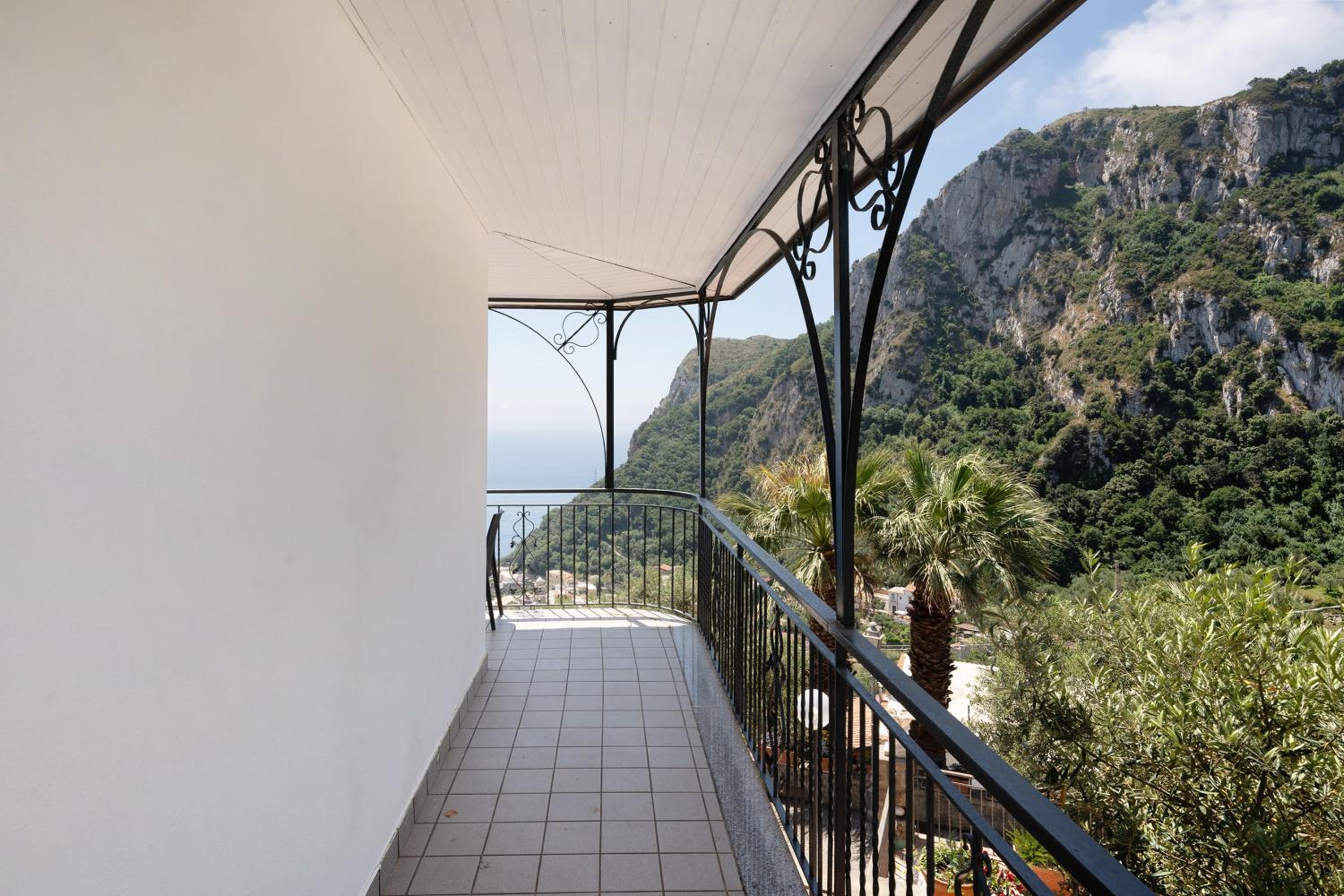 Photo 49