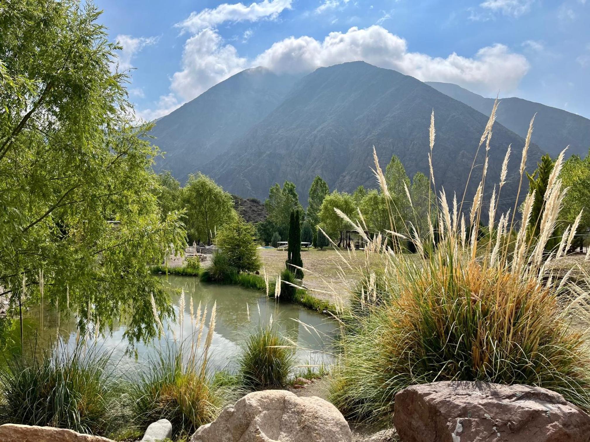 Viví Potrerillos