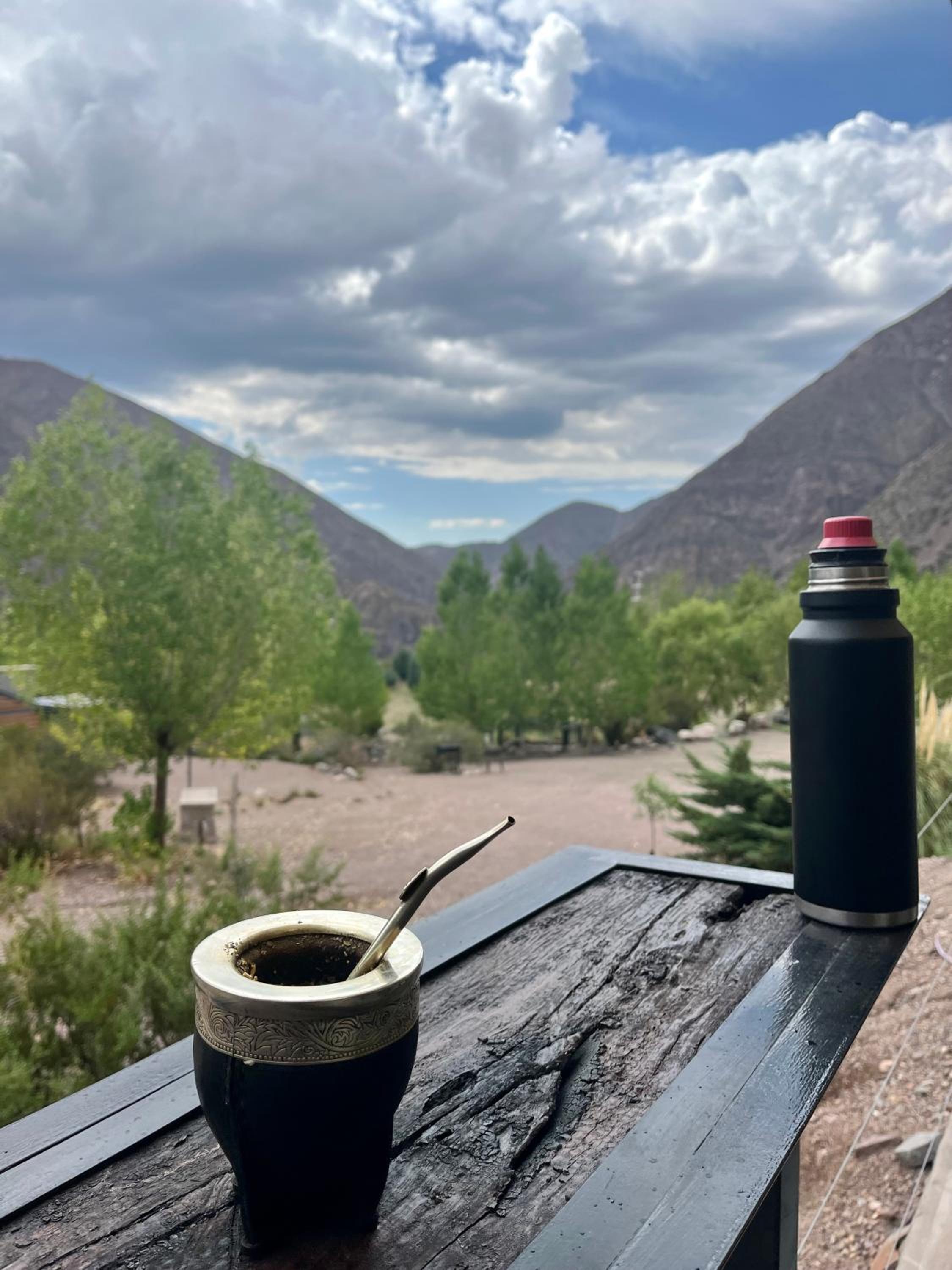 Viví Potrerillos