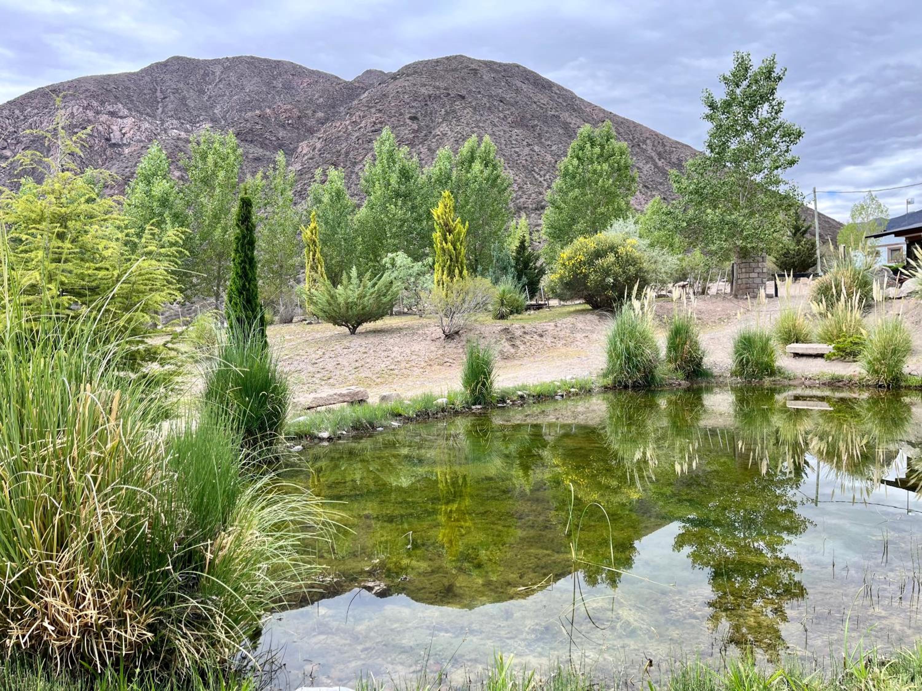 Viví Potrerillos