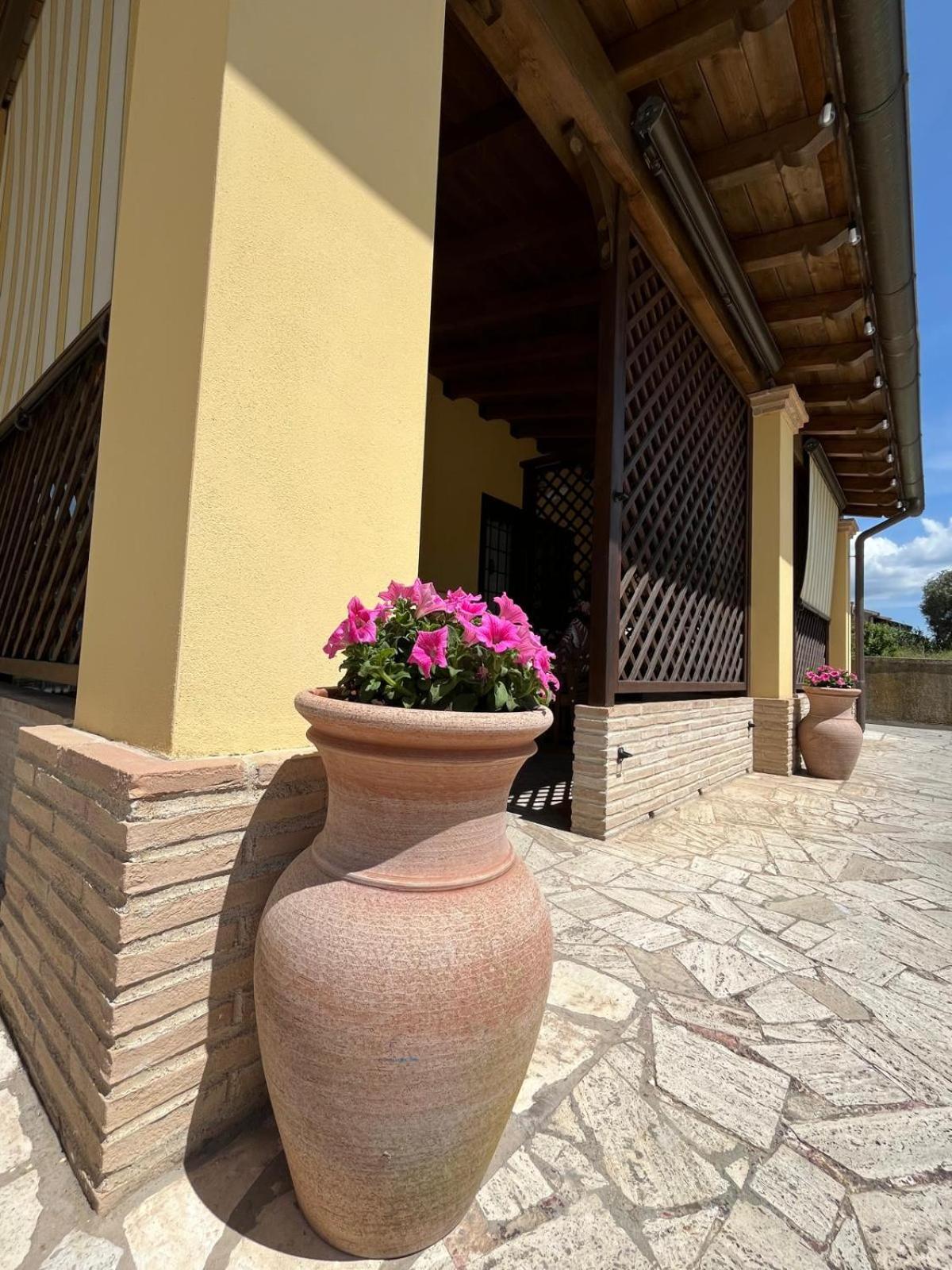 La Casa di Piuma view 5