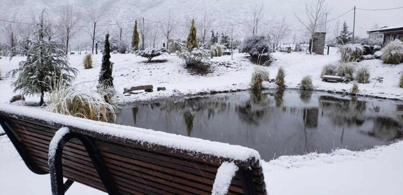 Viví Potrerillos