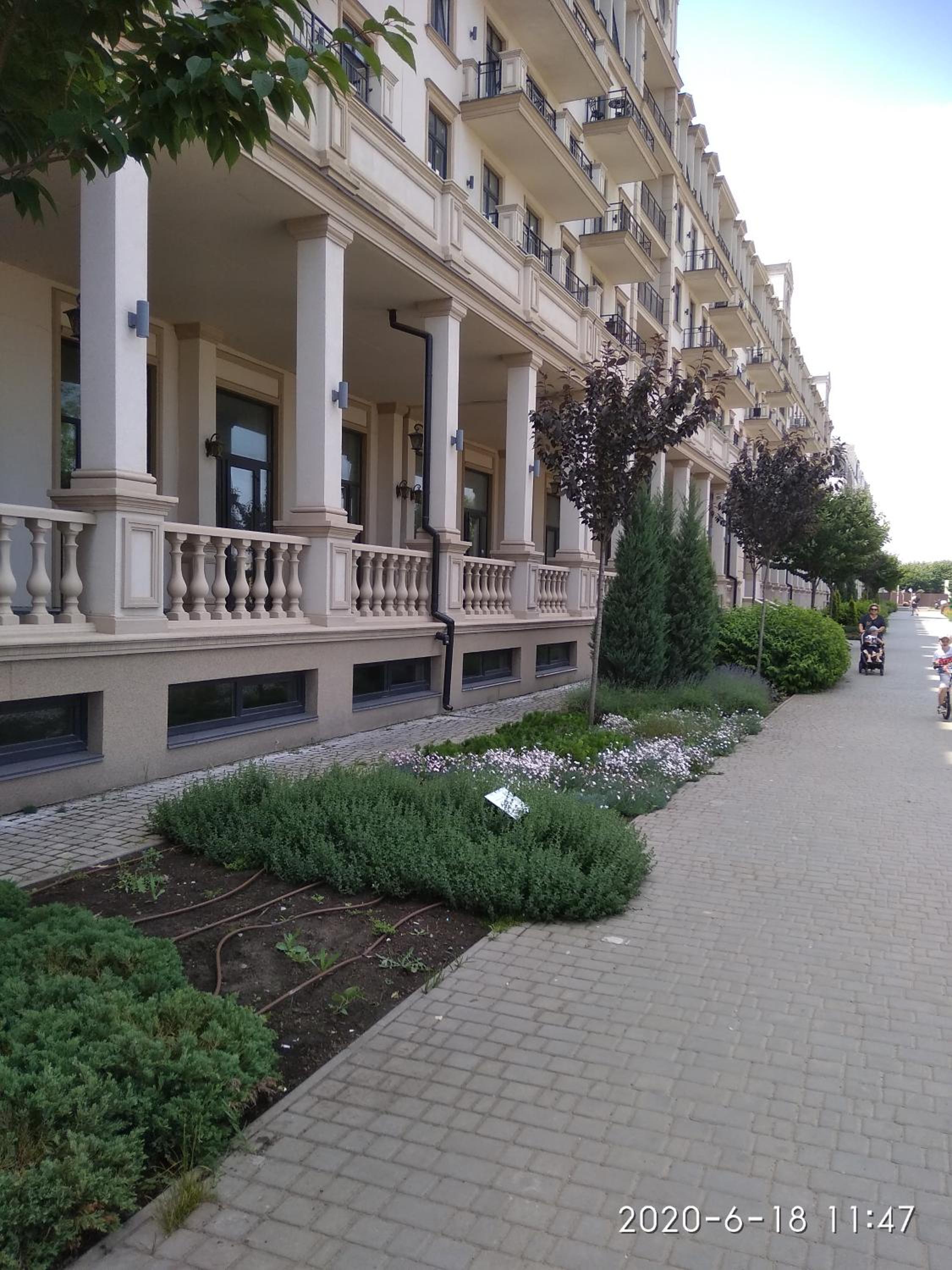Photo 24