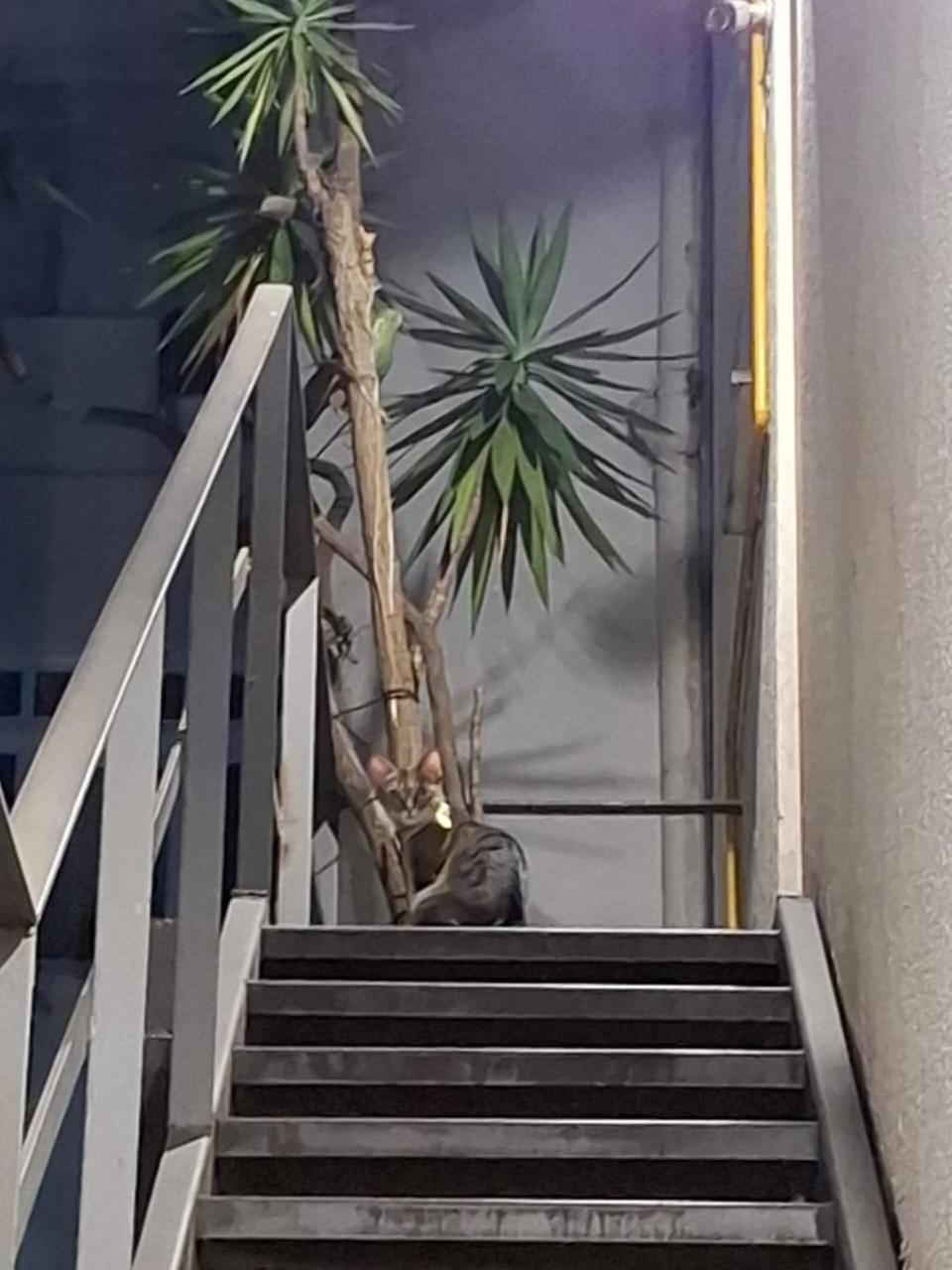 Fullano Guesthouse _ Between Copacabana and Ipanema – Comfortable Private Suites!