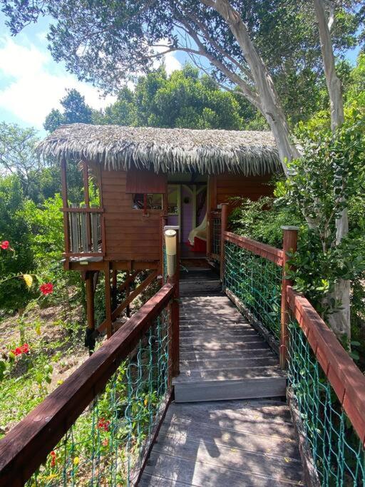 Kaz Robinson Cabane Perchee Vue Mer Vivez l aventure Robinson avec le confort d une vue imprenable sur les Caraibes view 4