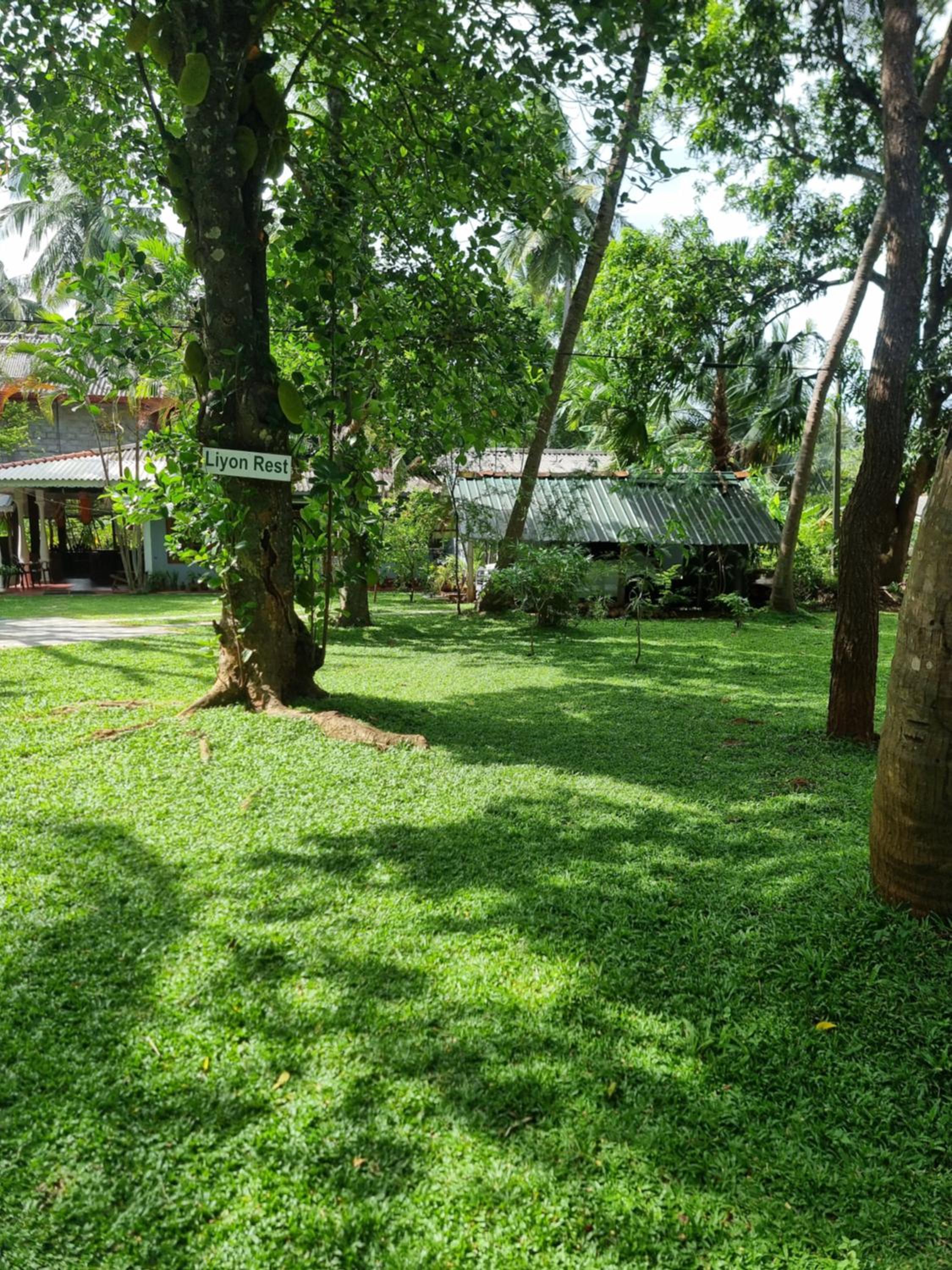Liyon Rest sigiriya