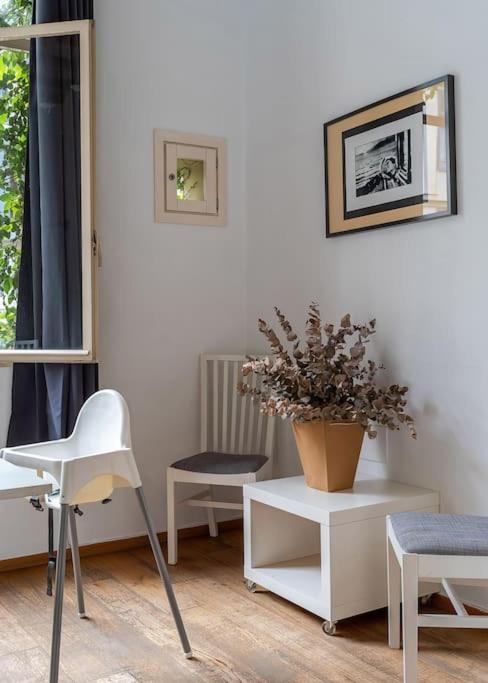 Canela Homes BARCELONA LIGHT