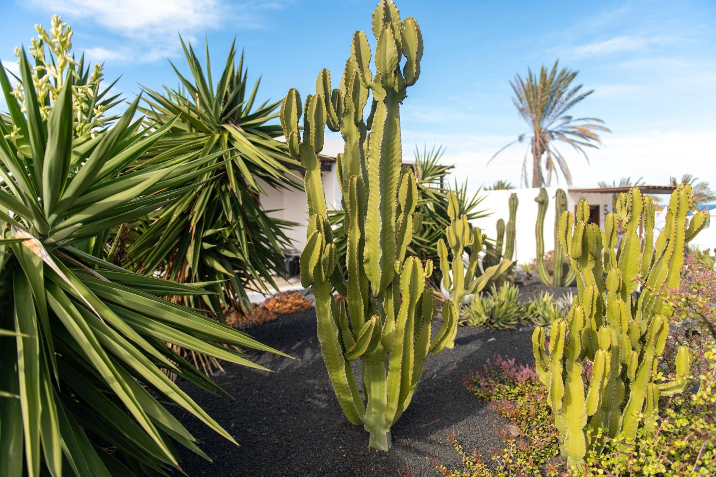Villa Blanca Nudist Place