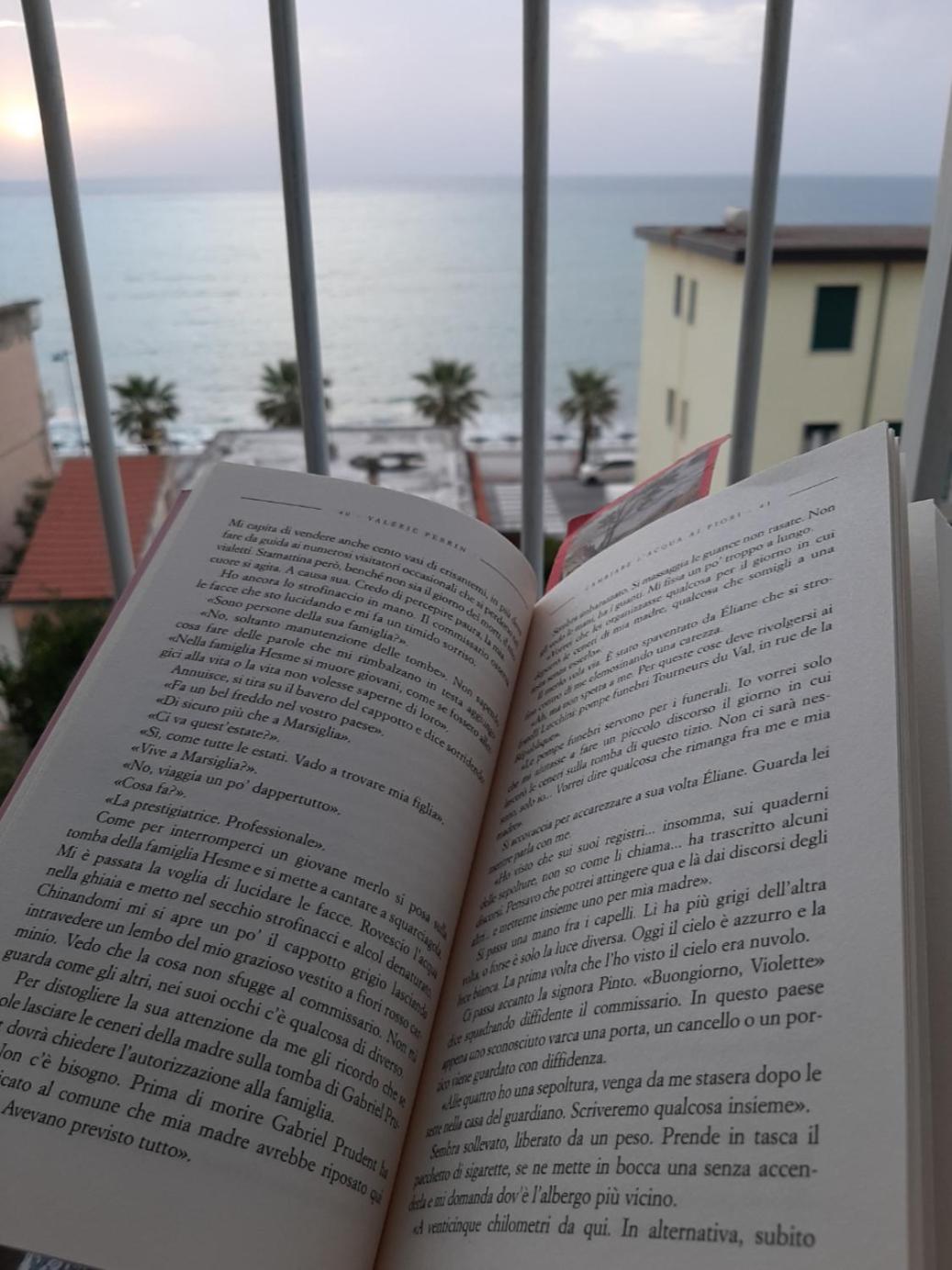 Perla Turchese photo 5