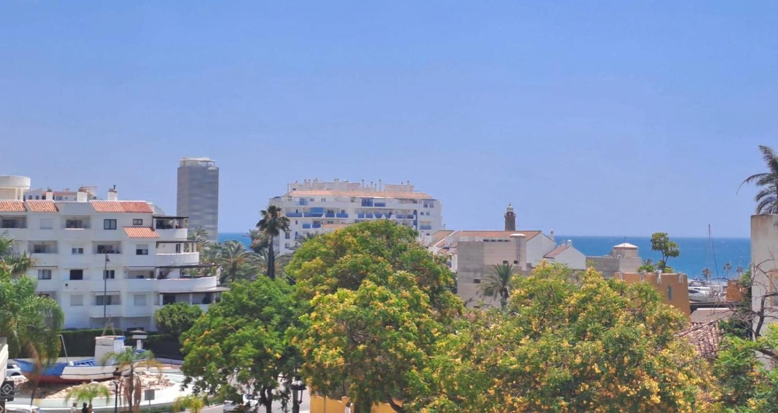 Noctua Estepona Puerto Alto 018 photo 5