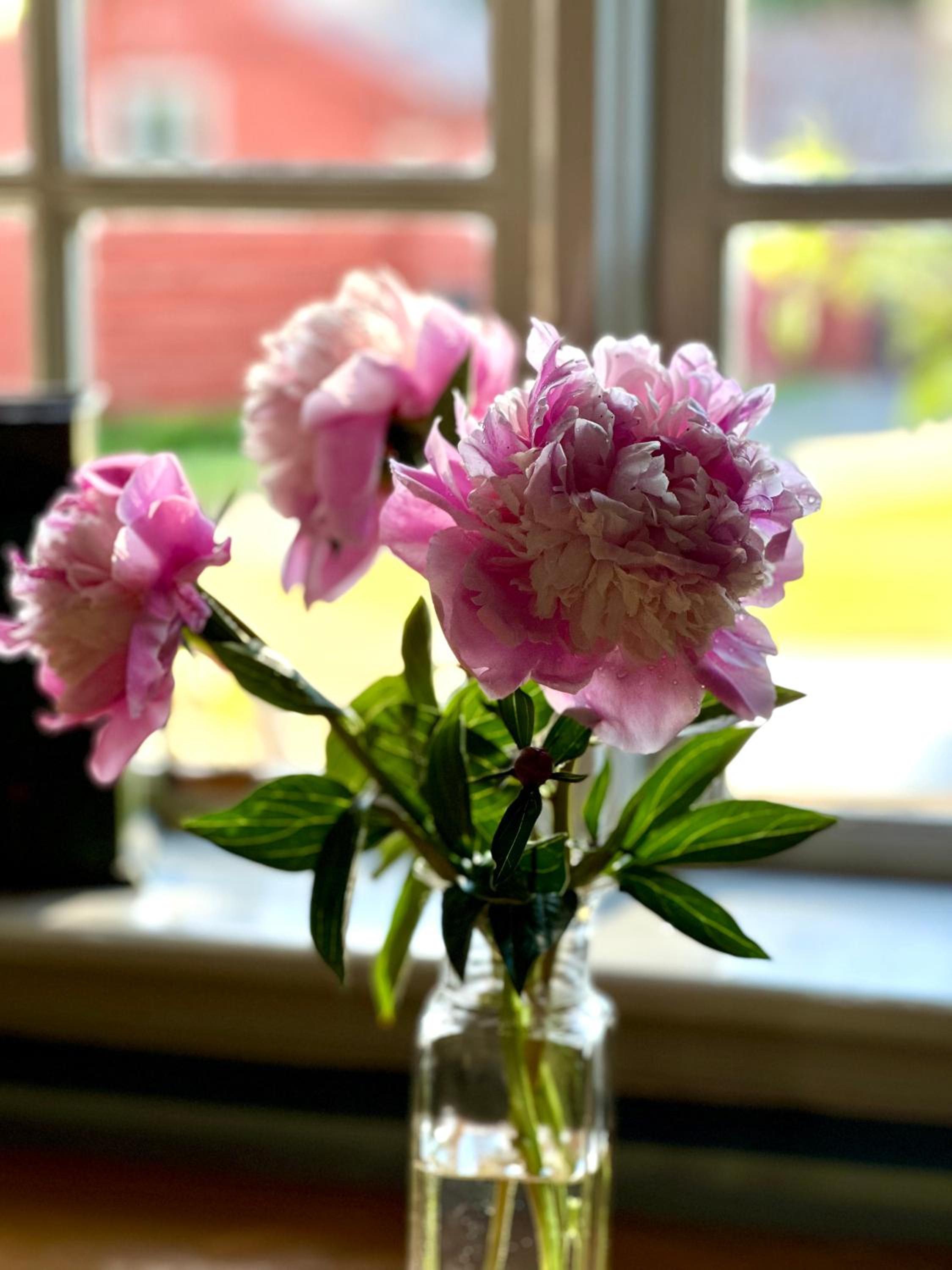Photo 40