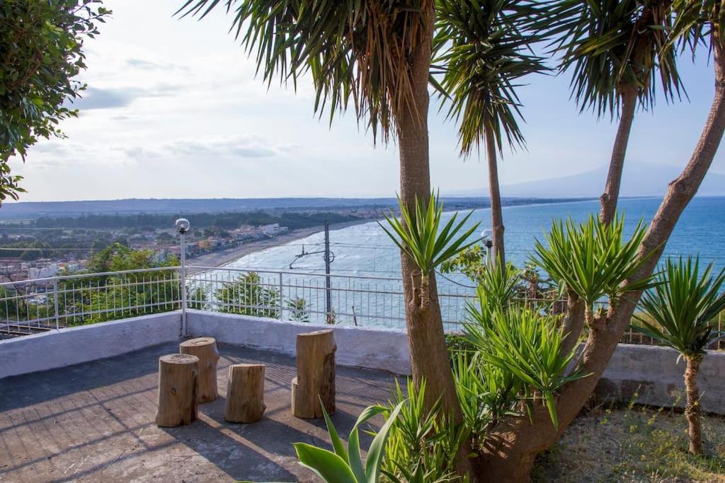 TERRACE on the SEA photo 2