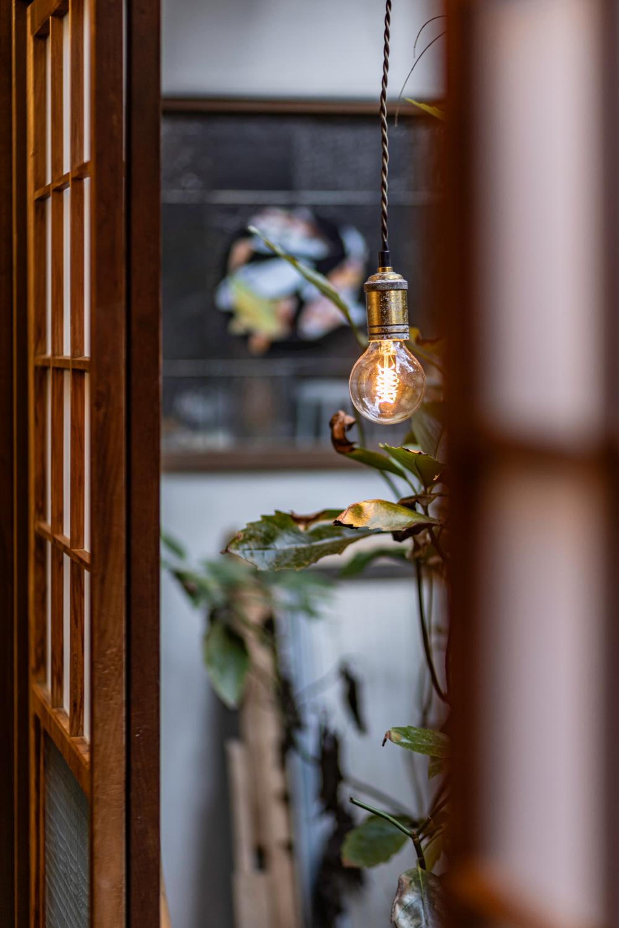 HoNoDo COBO-東寺