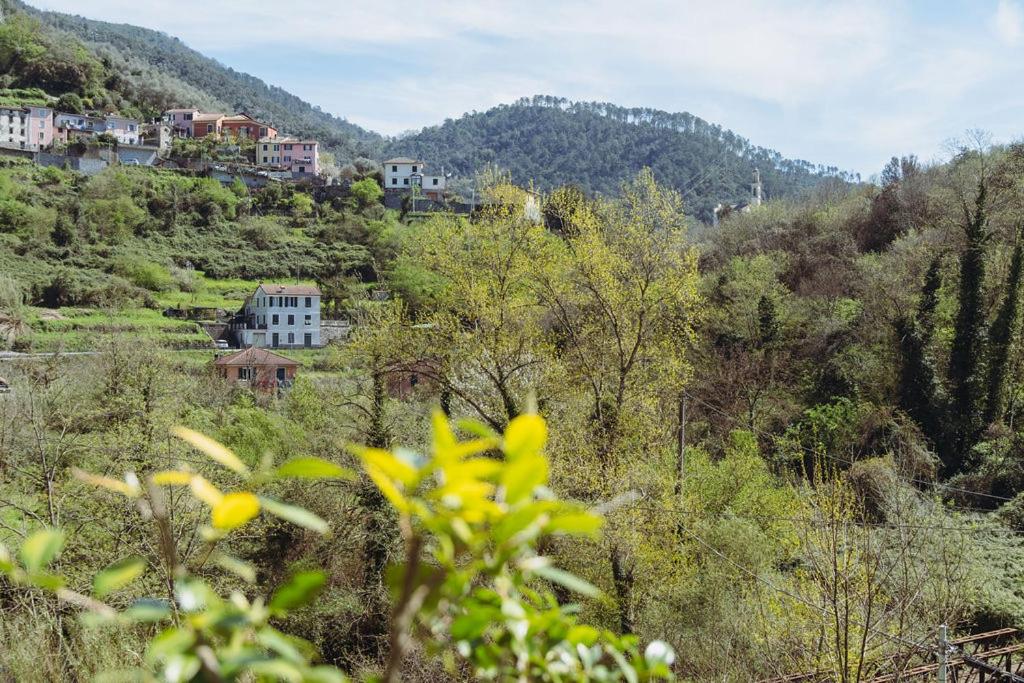 Residenza Nemus Olea Mare e Montagna Casa Vacanze view 2