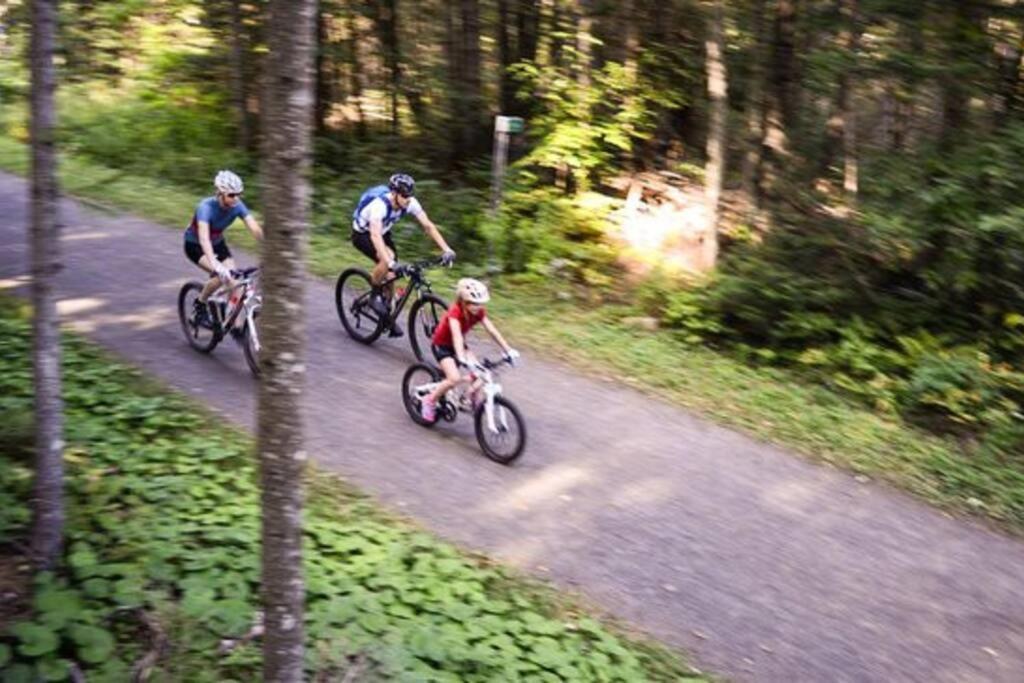 Chalet Douce Evasion St Adolphe