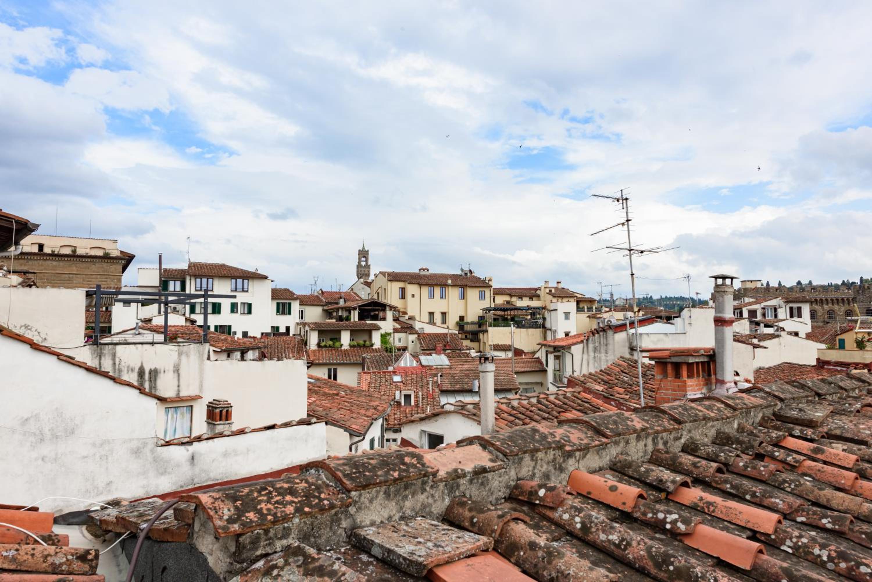 roof