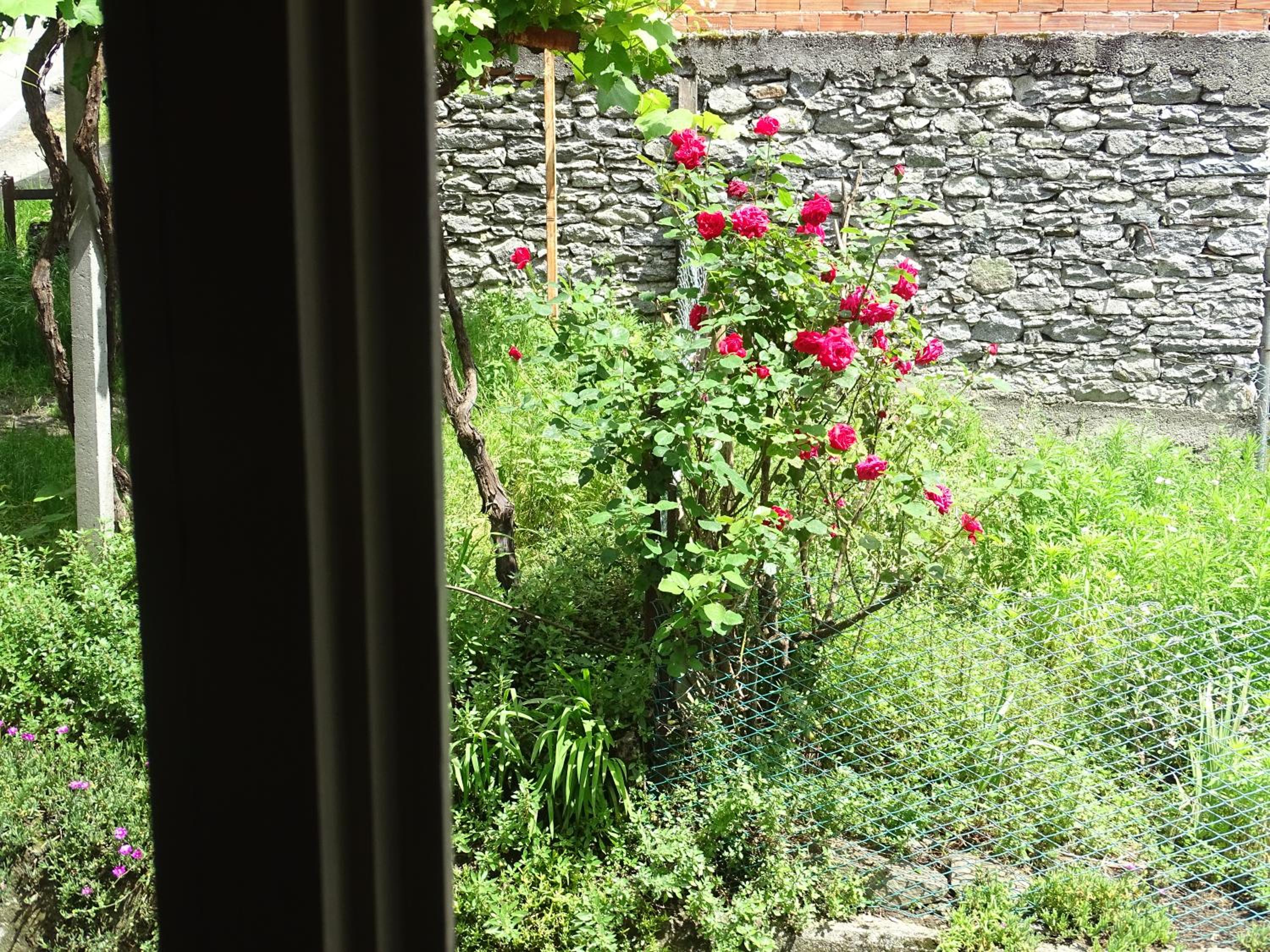 other