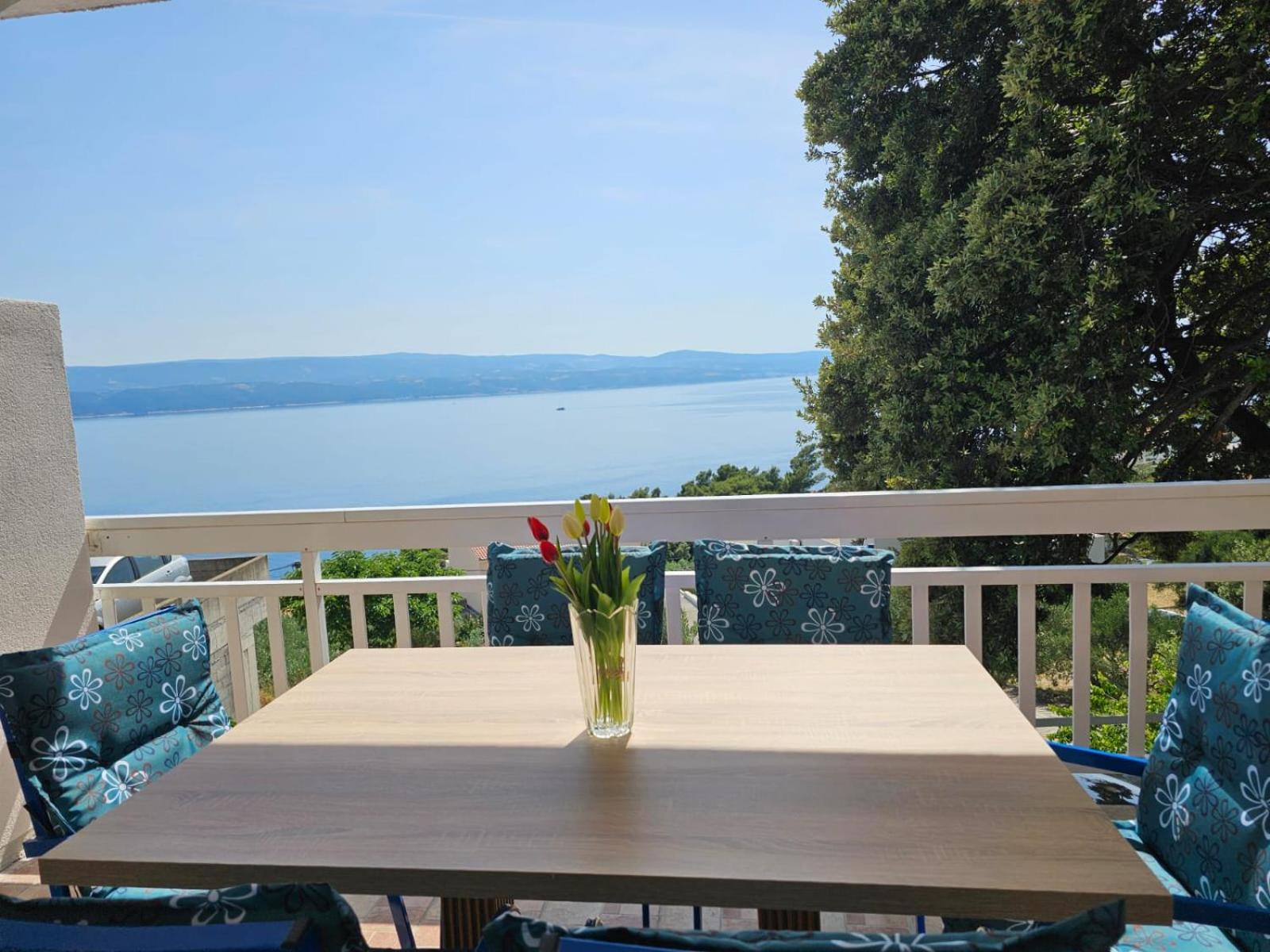 Villa Roing S