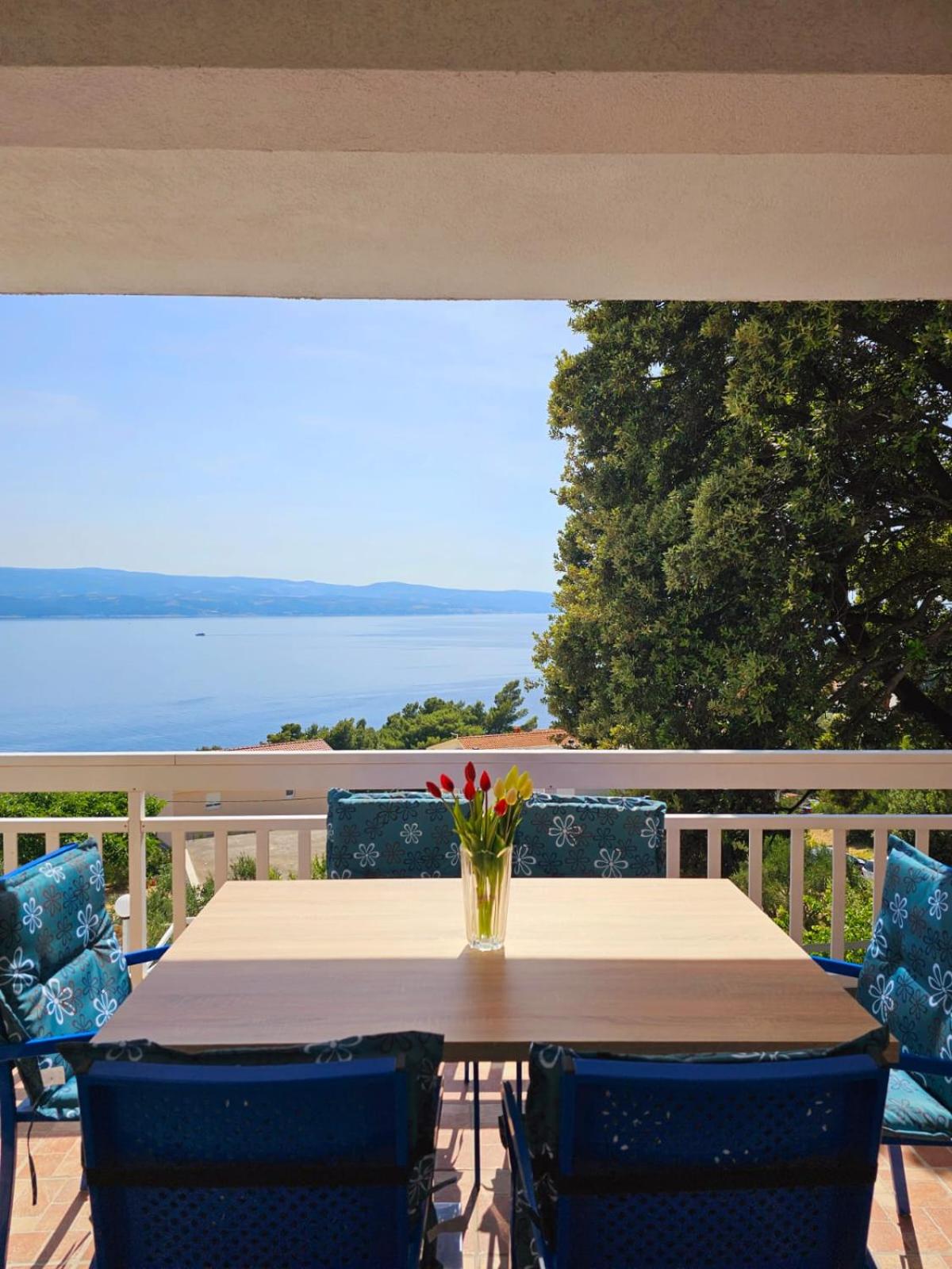 Villa Roing S