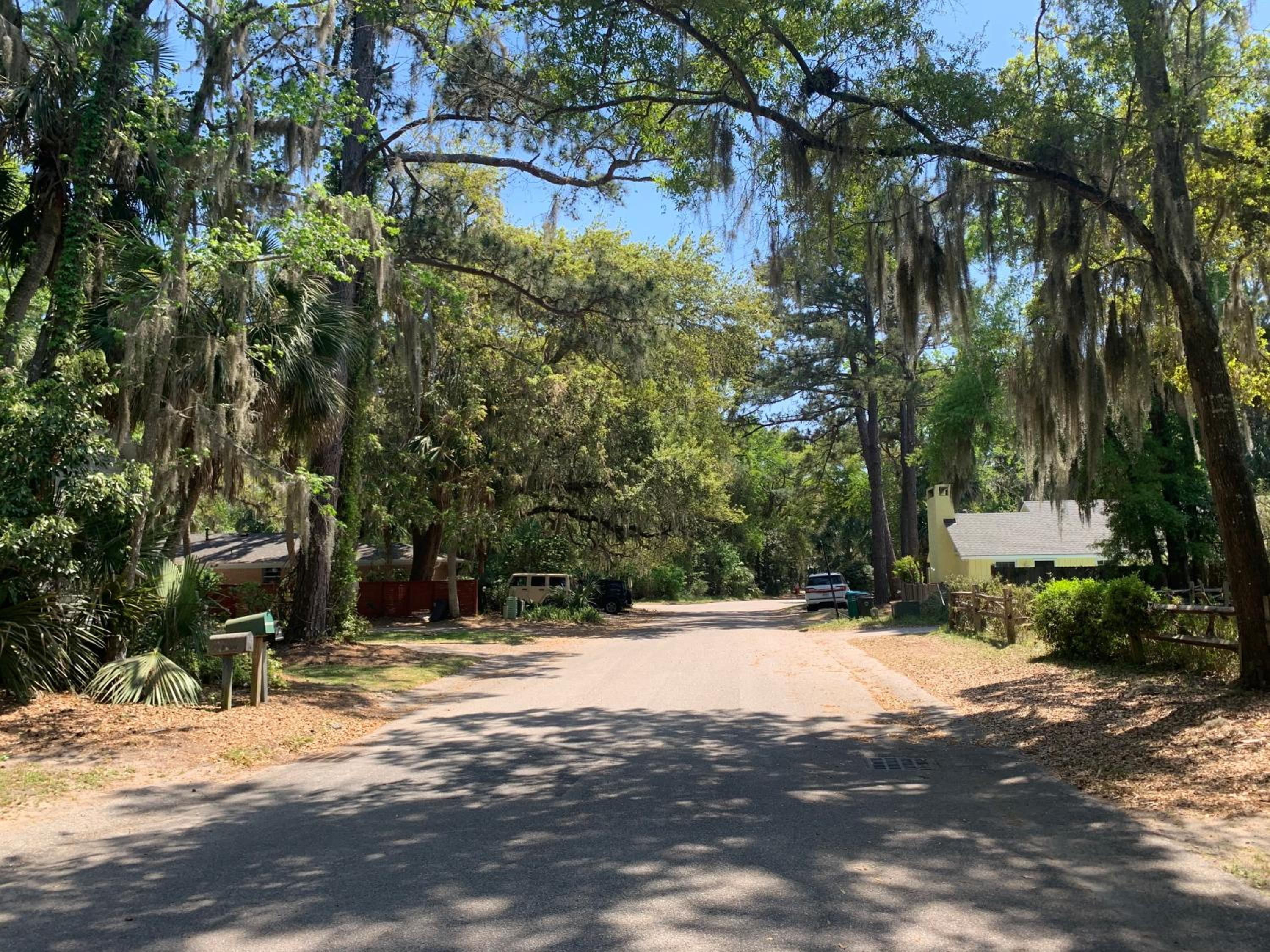 The Blue Heron at Coligny Circle