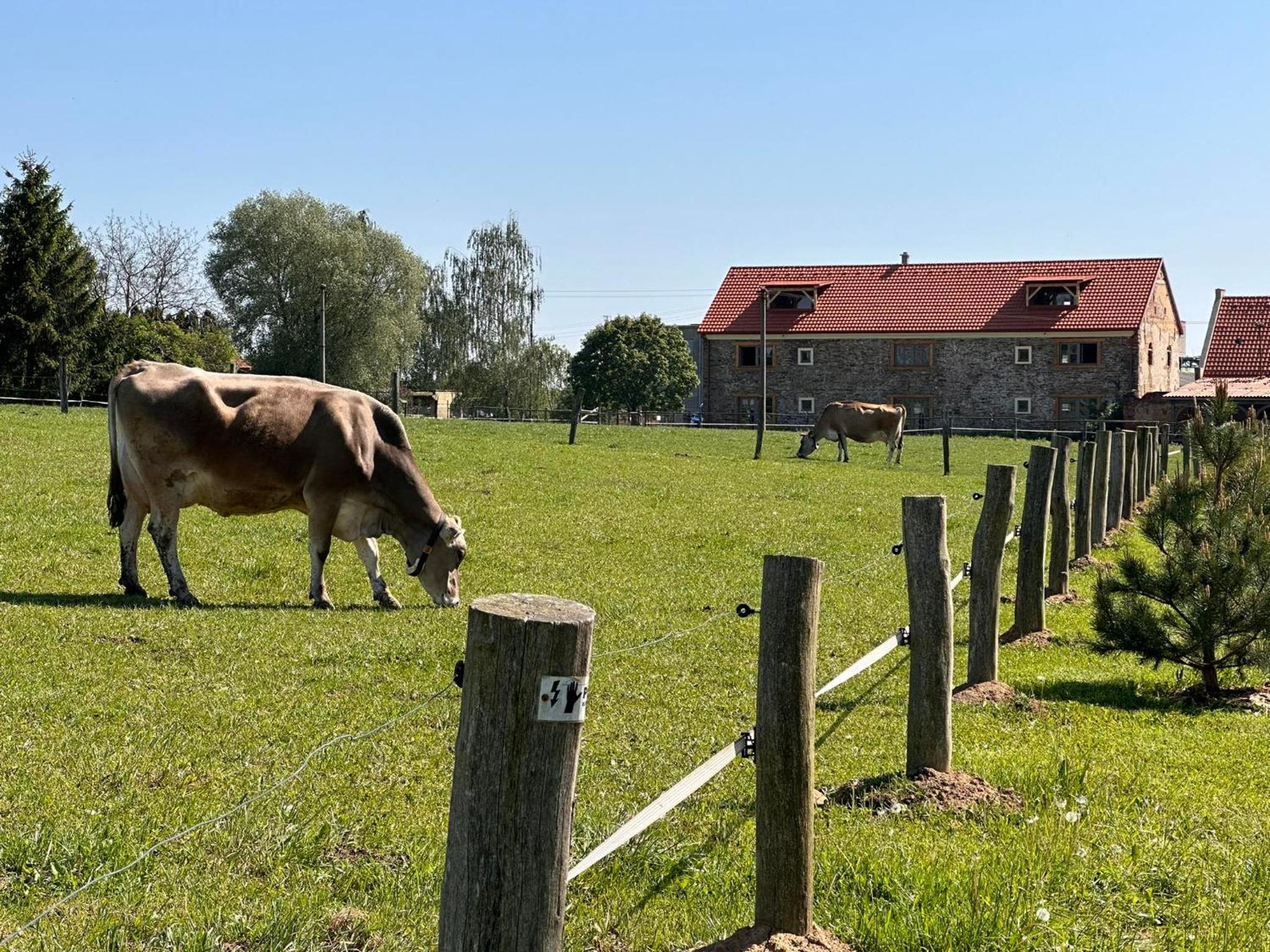 Farma Bláto - Apartmány Sýpka a glamping