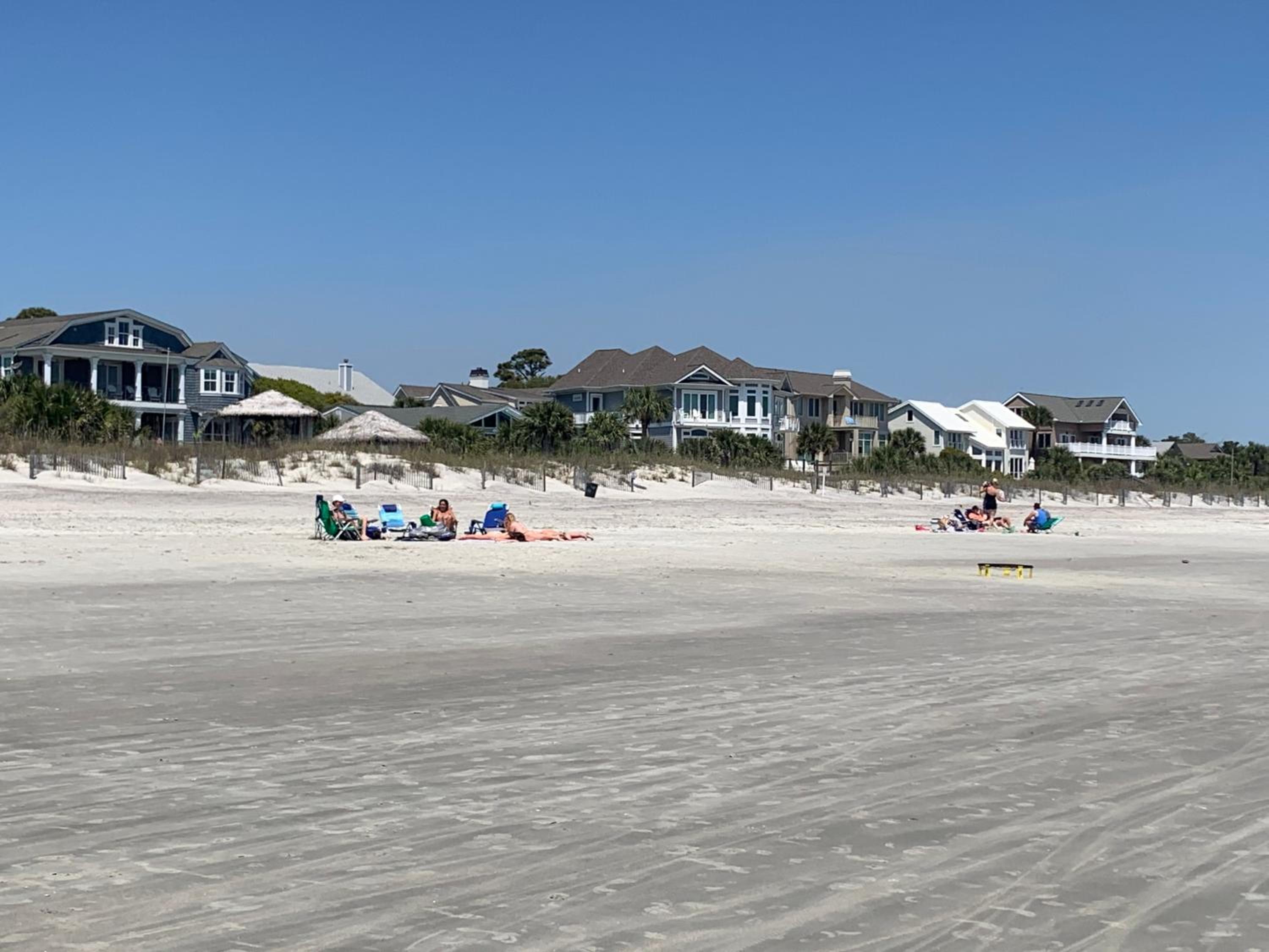The Blue Heron at Coligny Circle