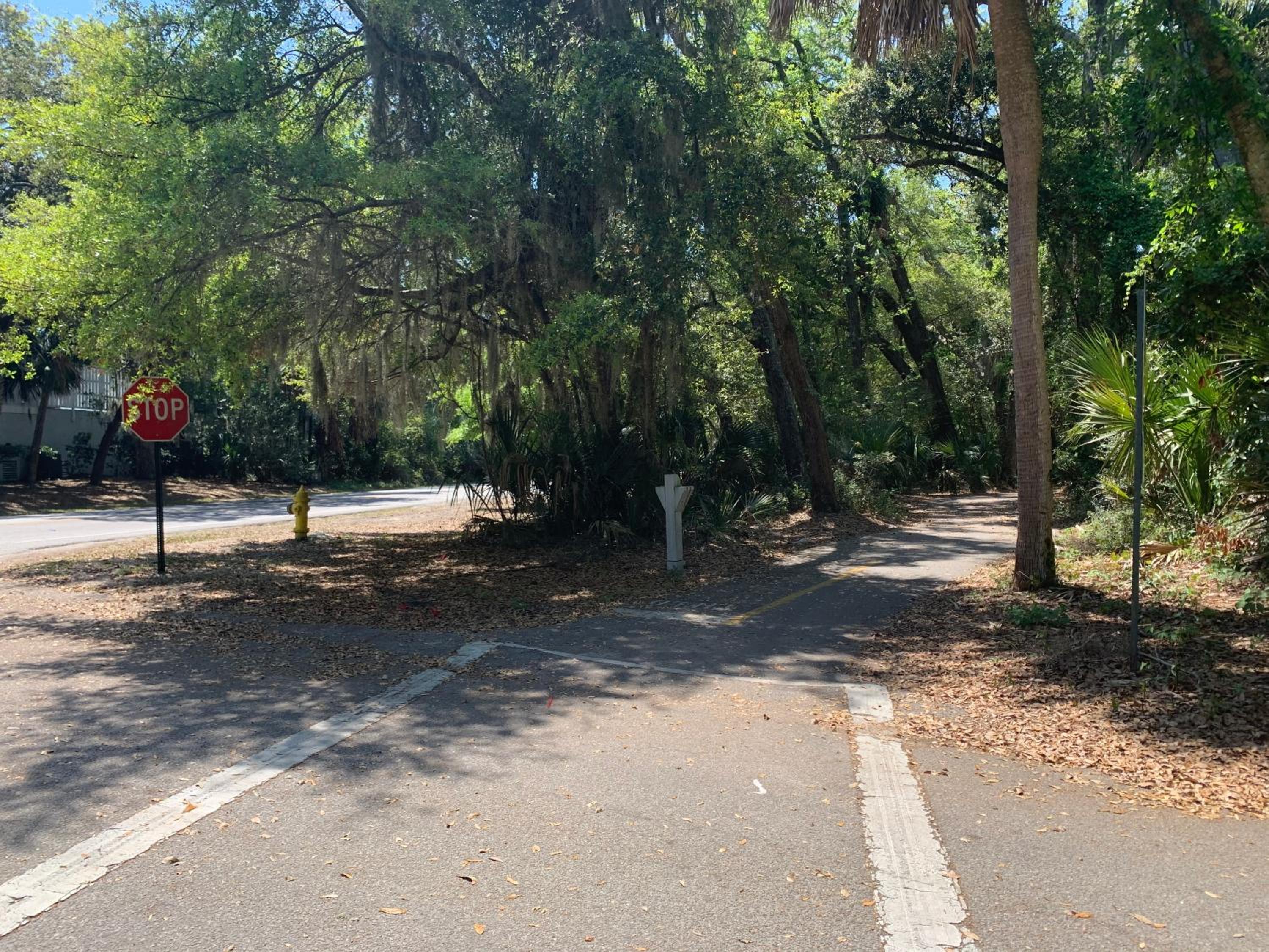 The Blue Heron at Coligny Circle