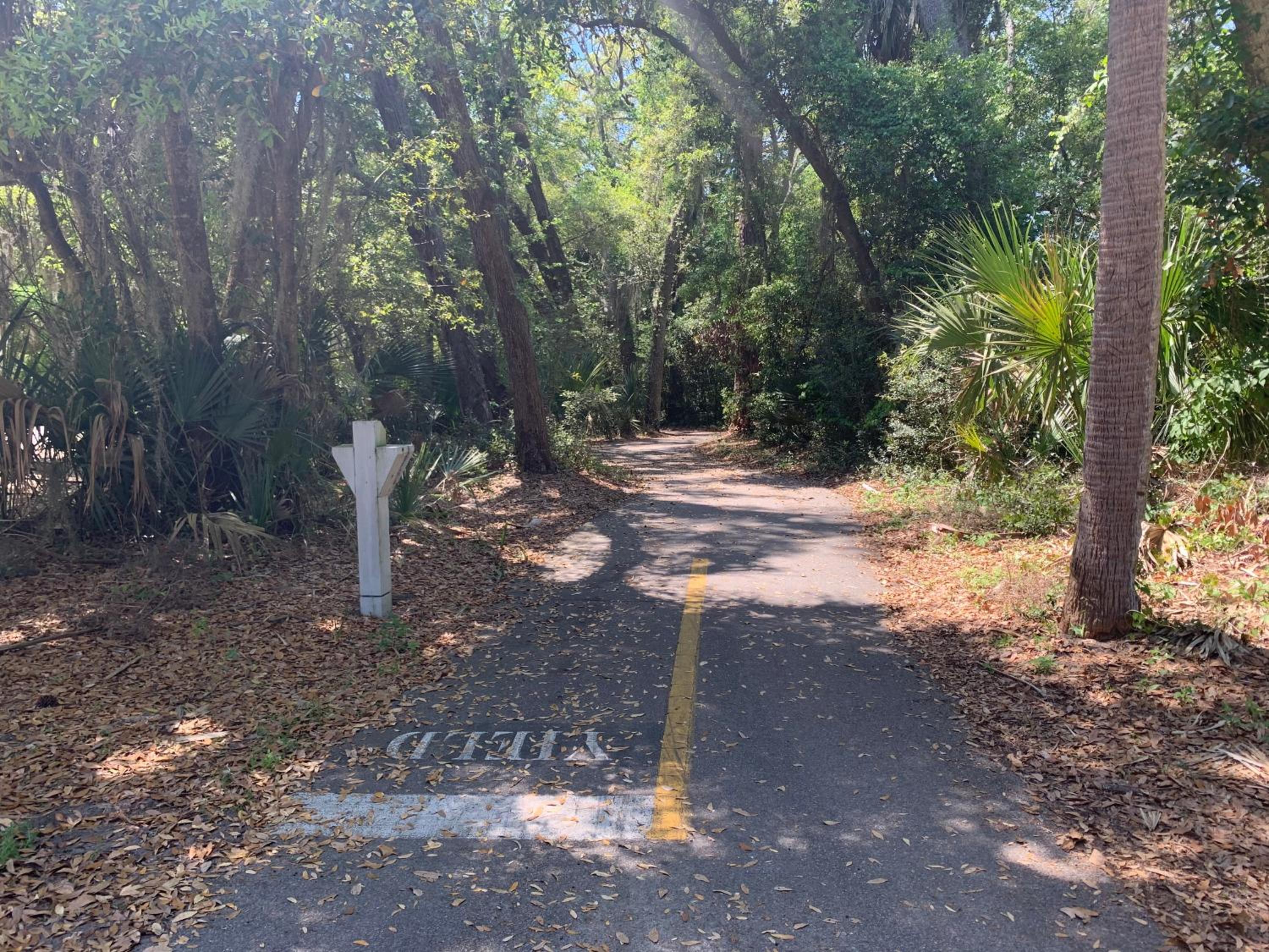 The Blue Heron at Coligny Circle