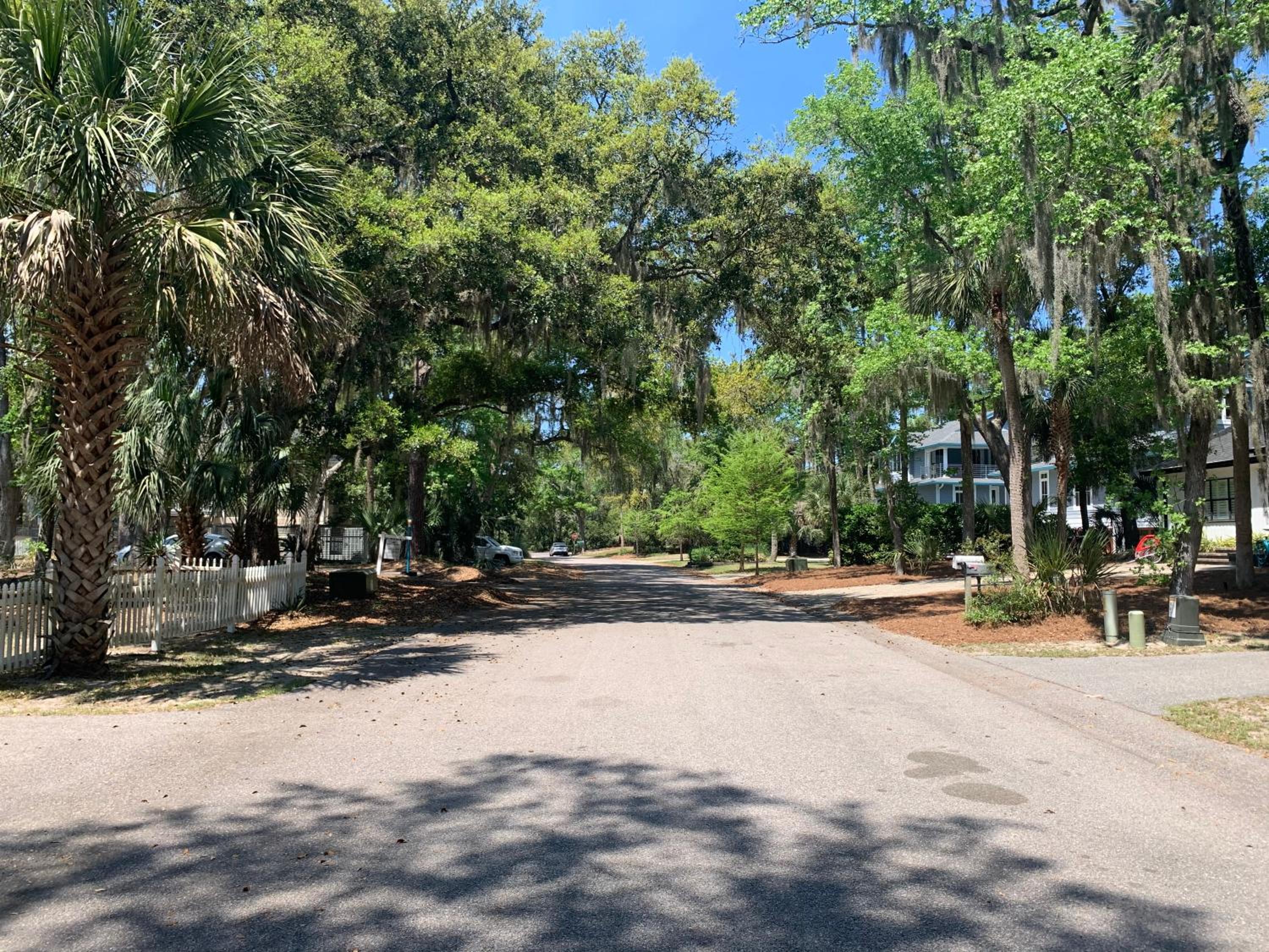 The Blue Heron at Coligny Circle