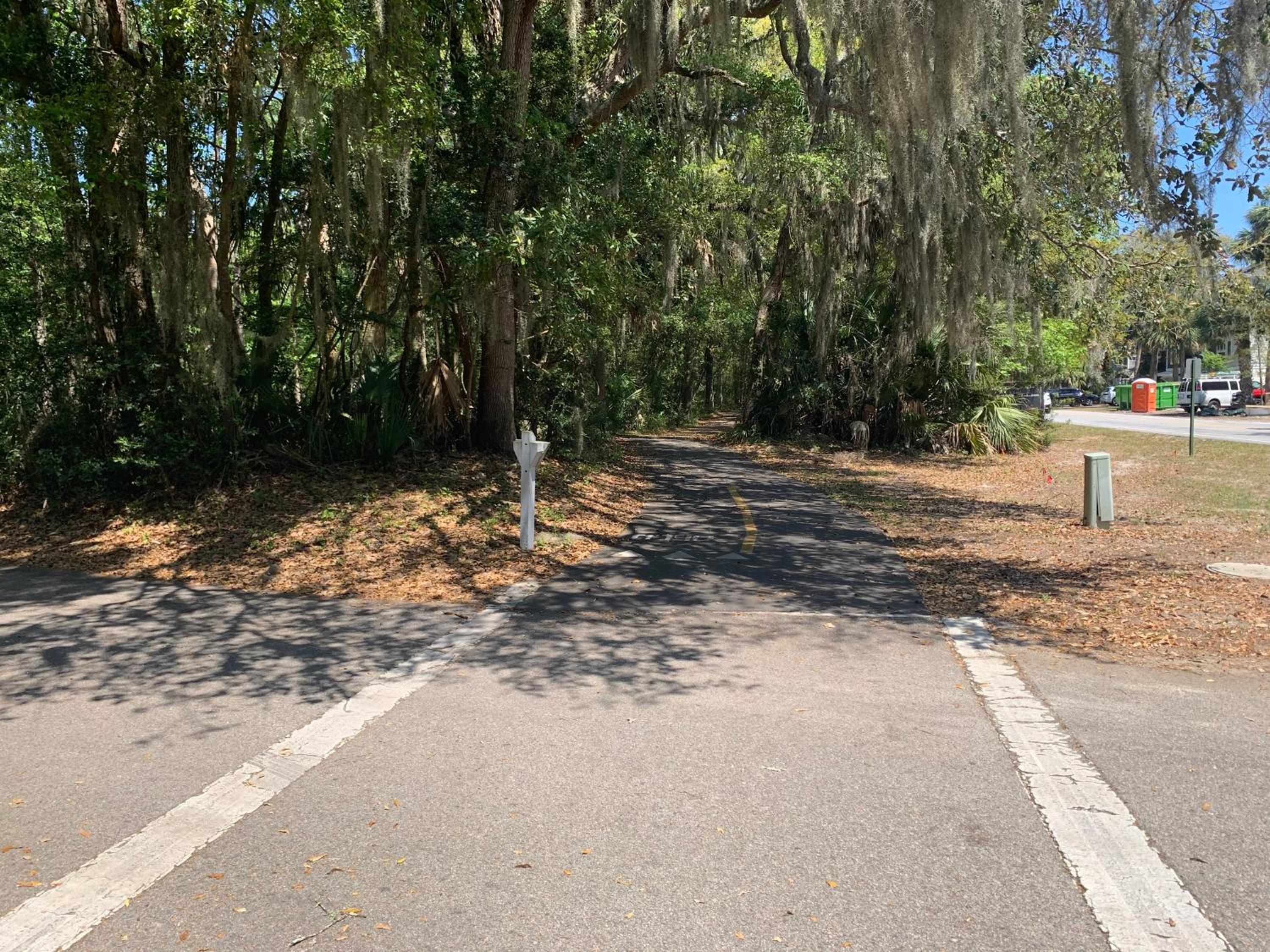 The Blue Heron at Coligny Circle