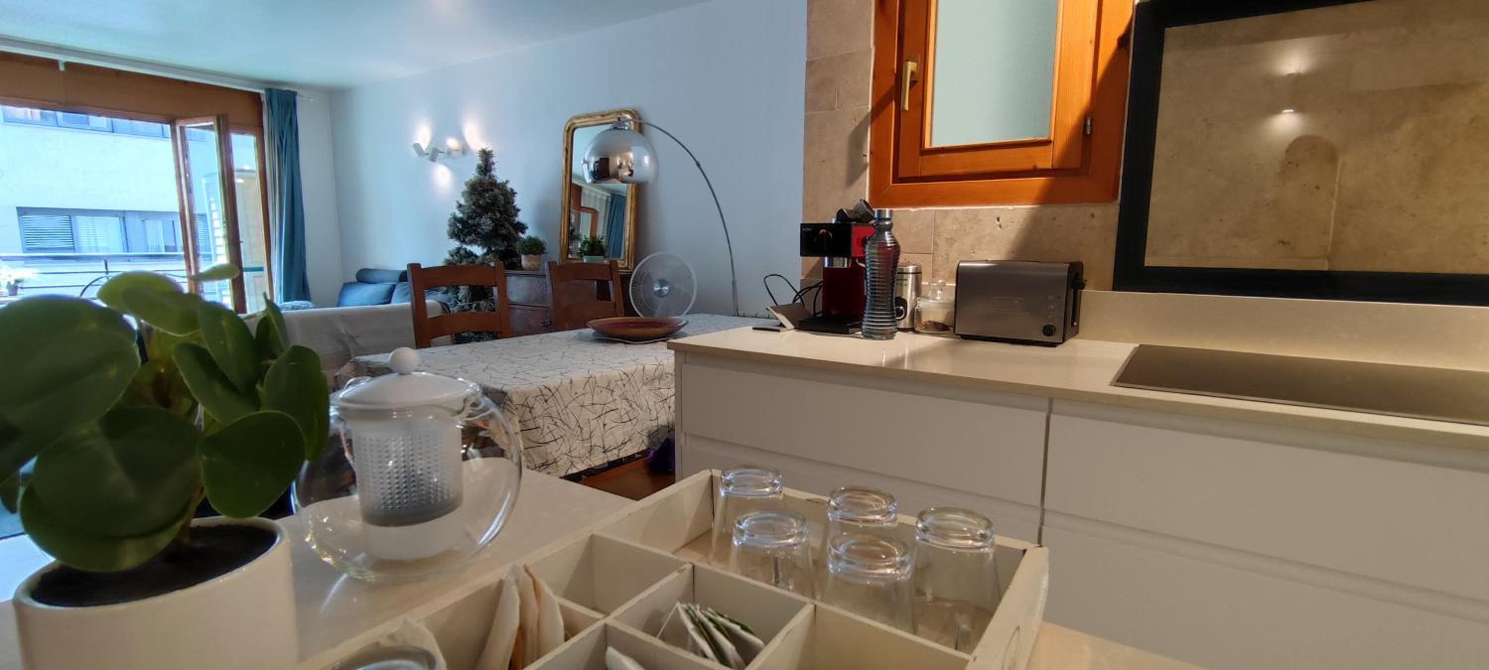 Superb flat in the centre of capital, ski, Caldea