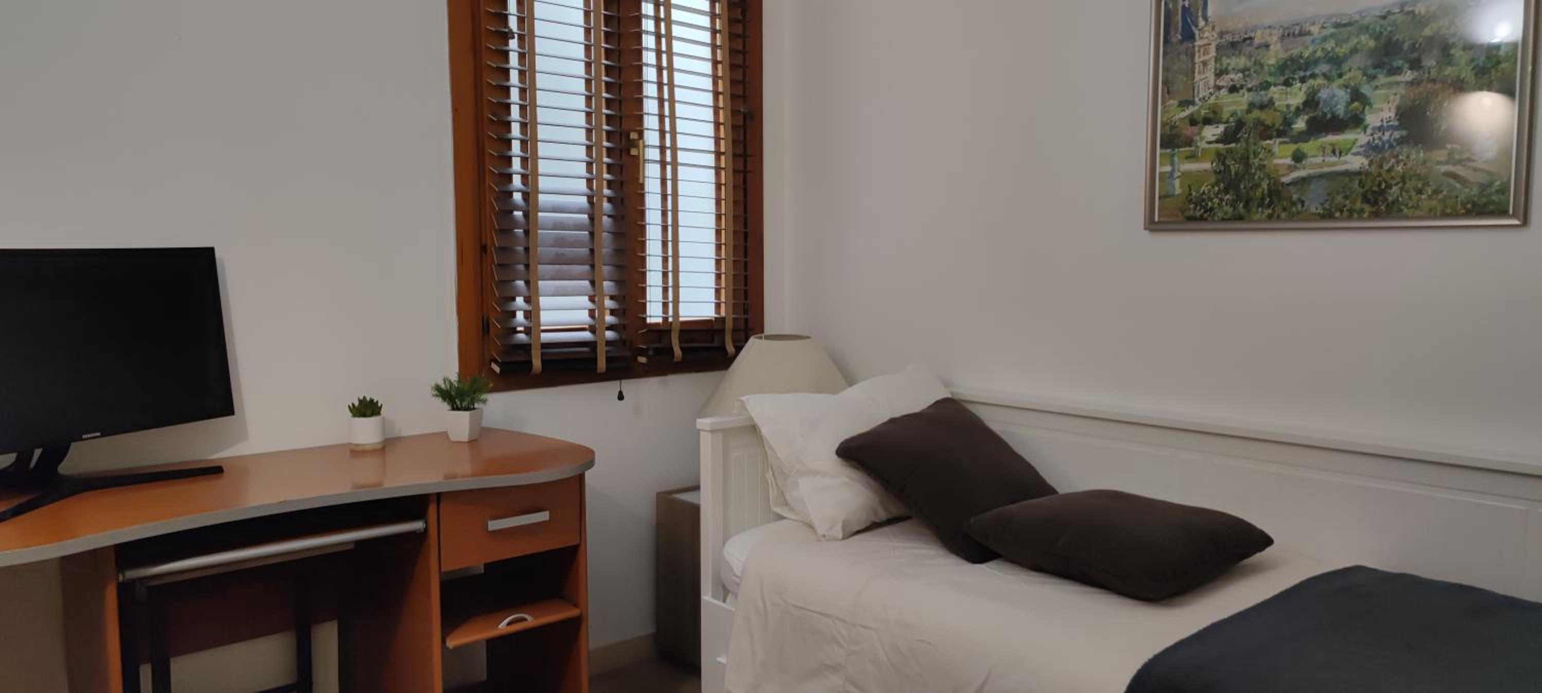 Superb flat in the centre of capital, ski, Caldea