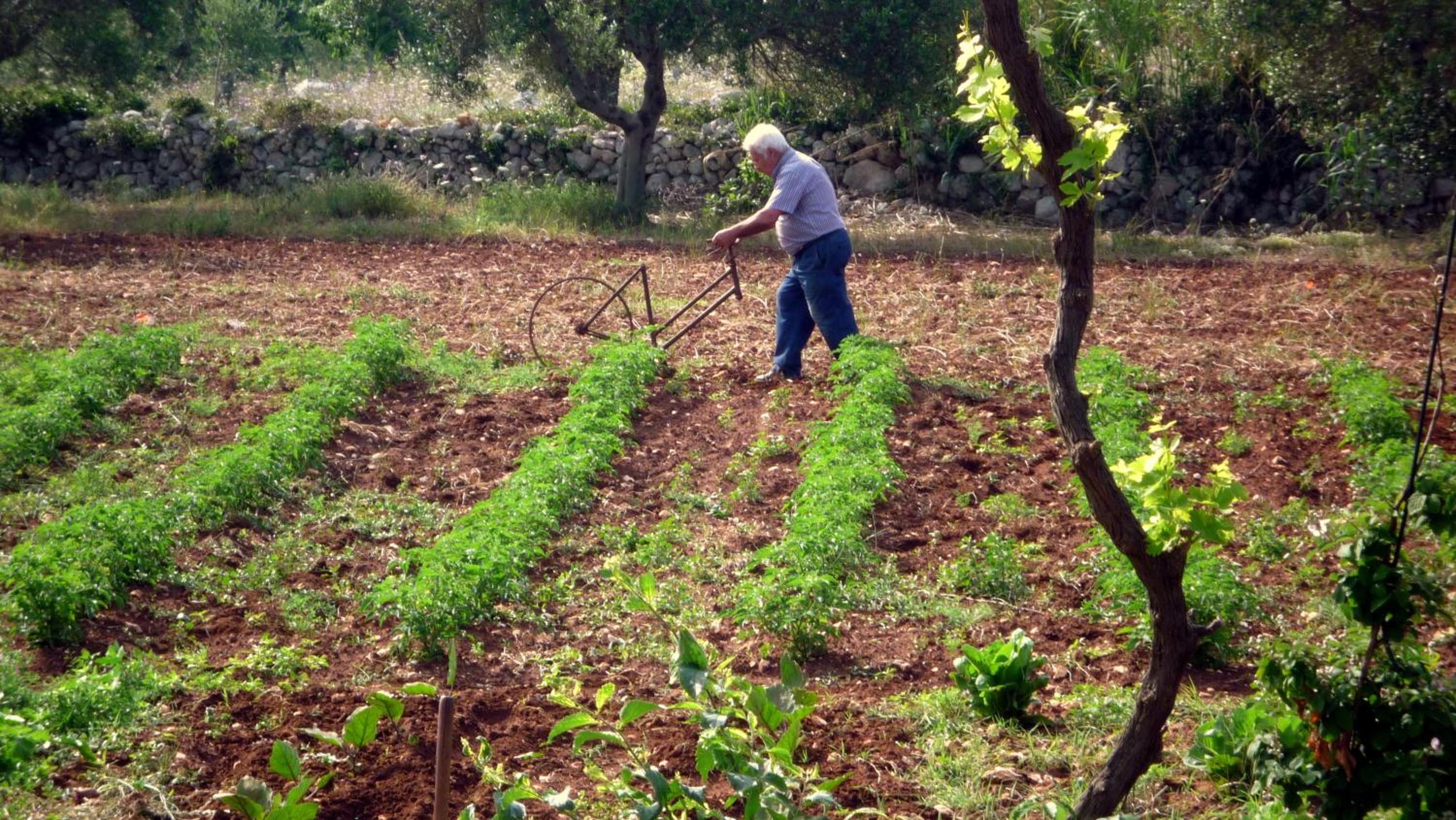 Masseria Uccio