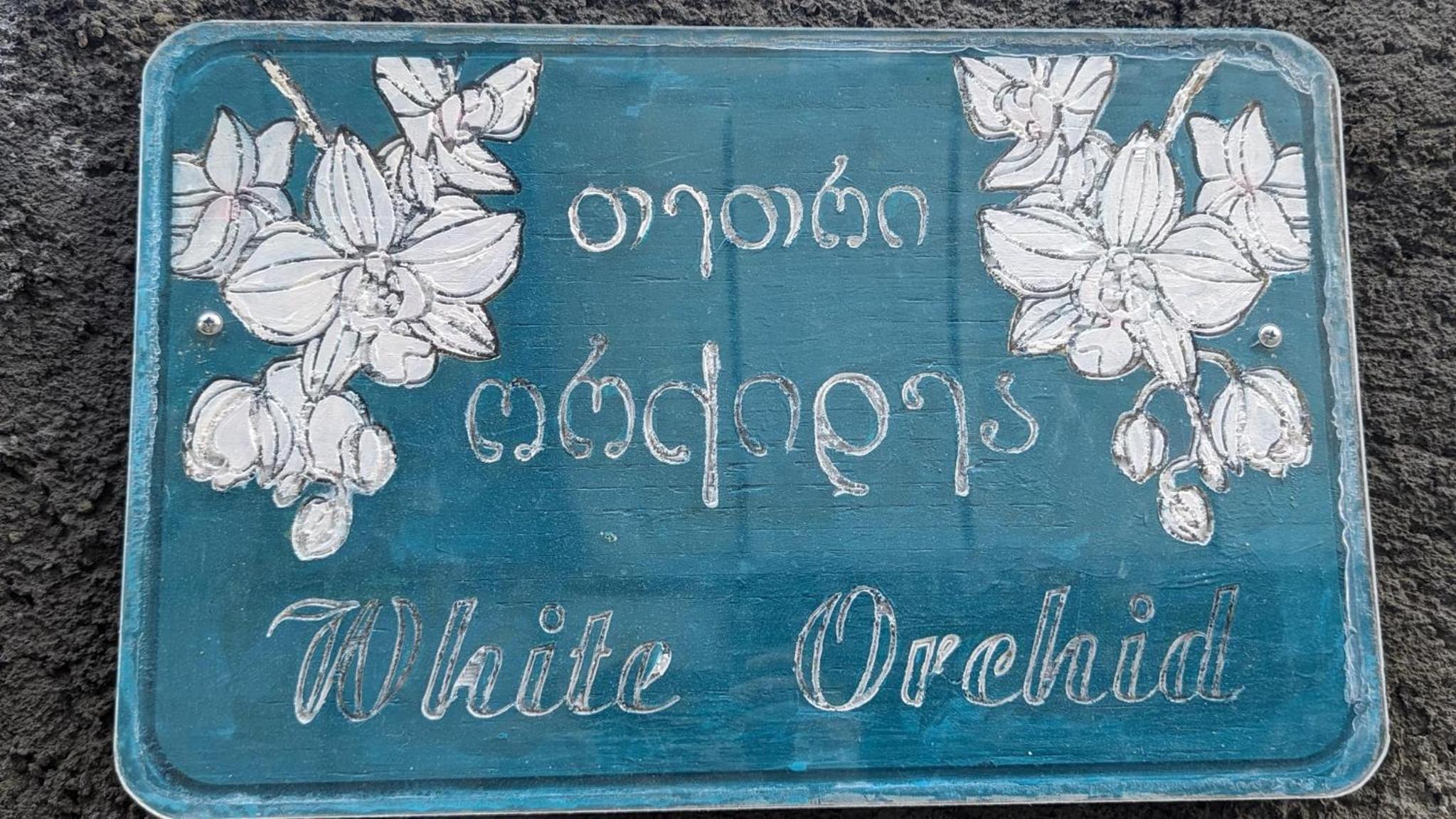White Orchid