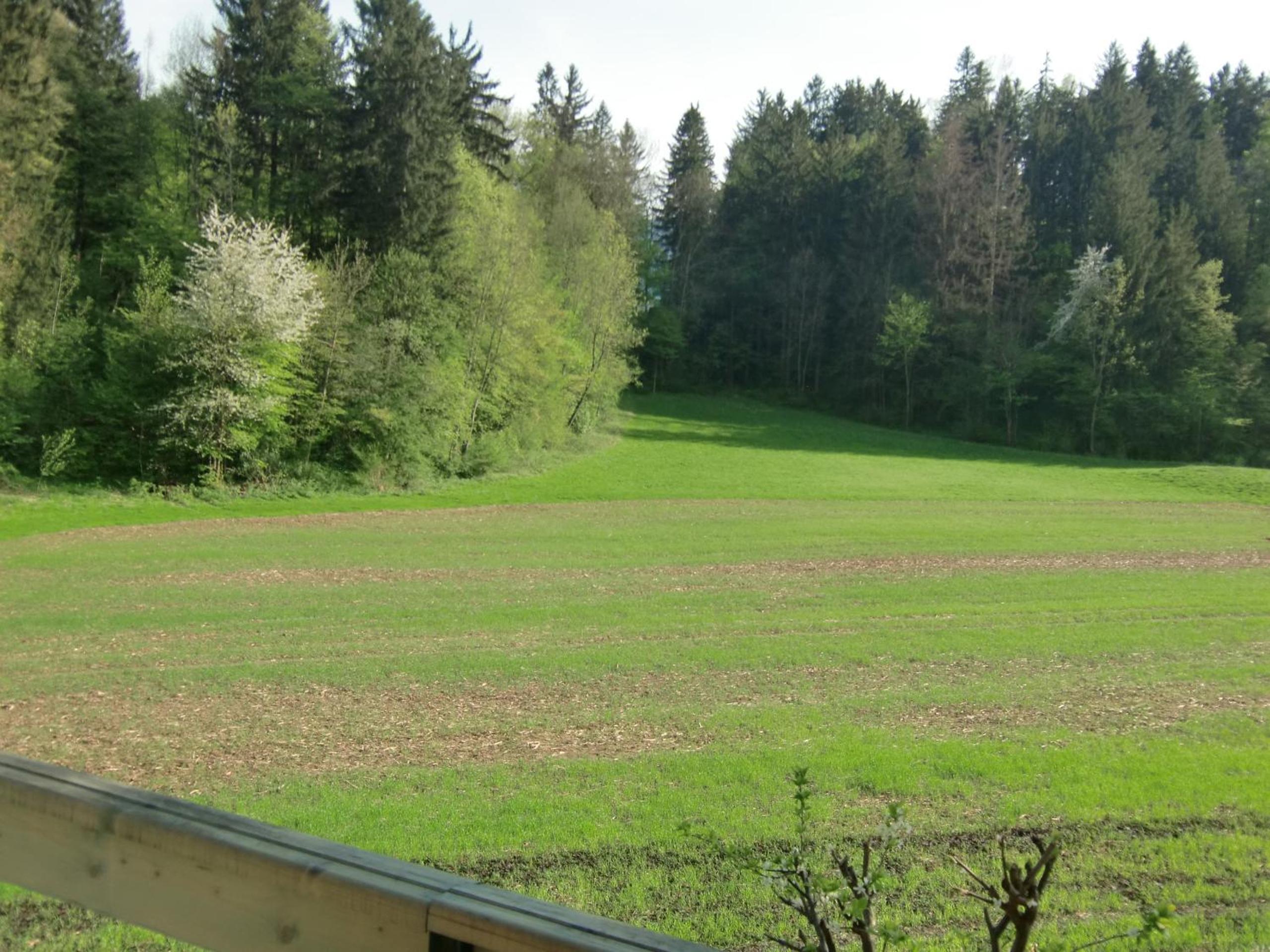 Photo 24