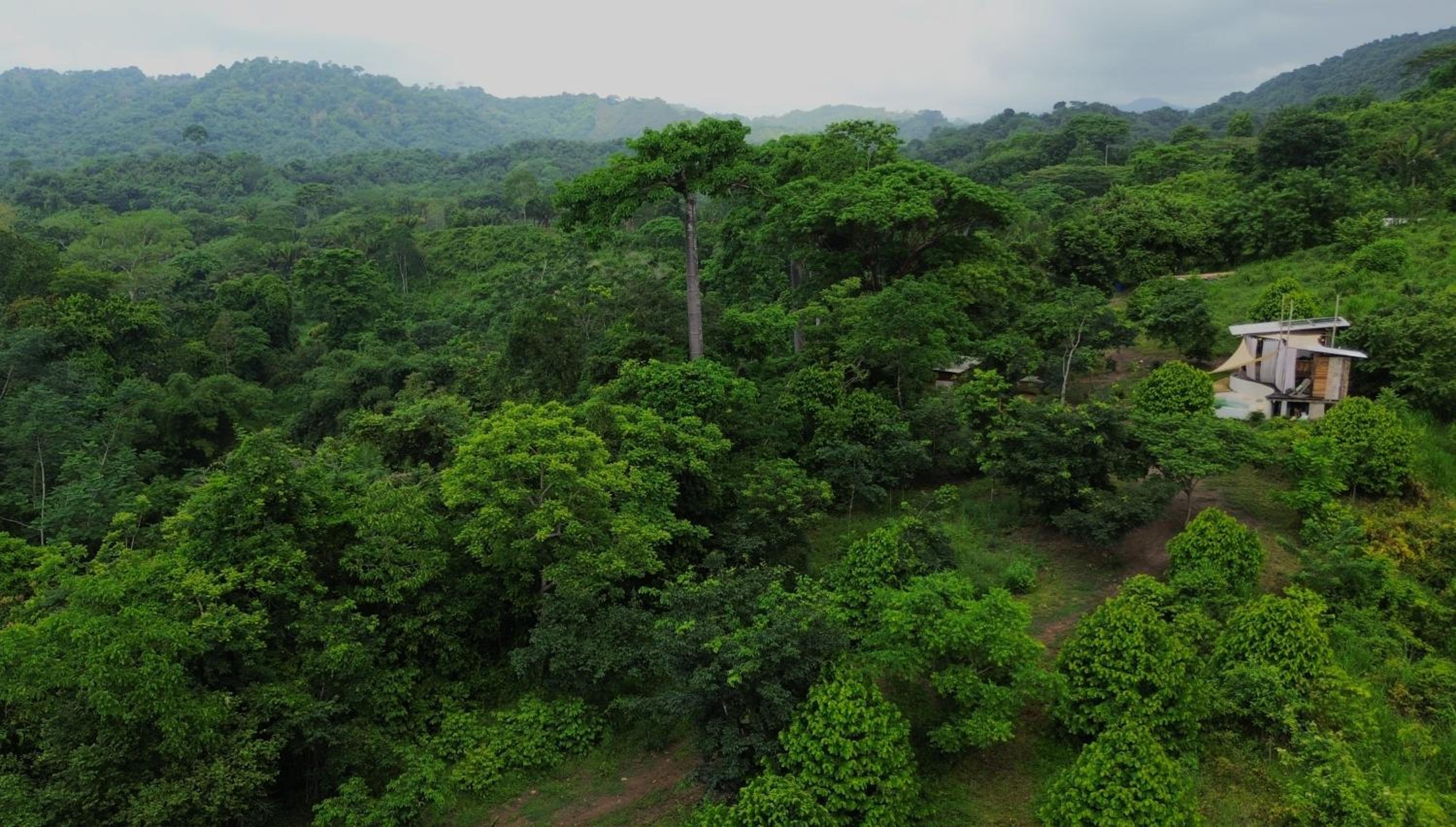 La Mona Eco Cabins