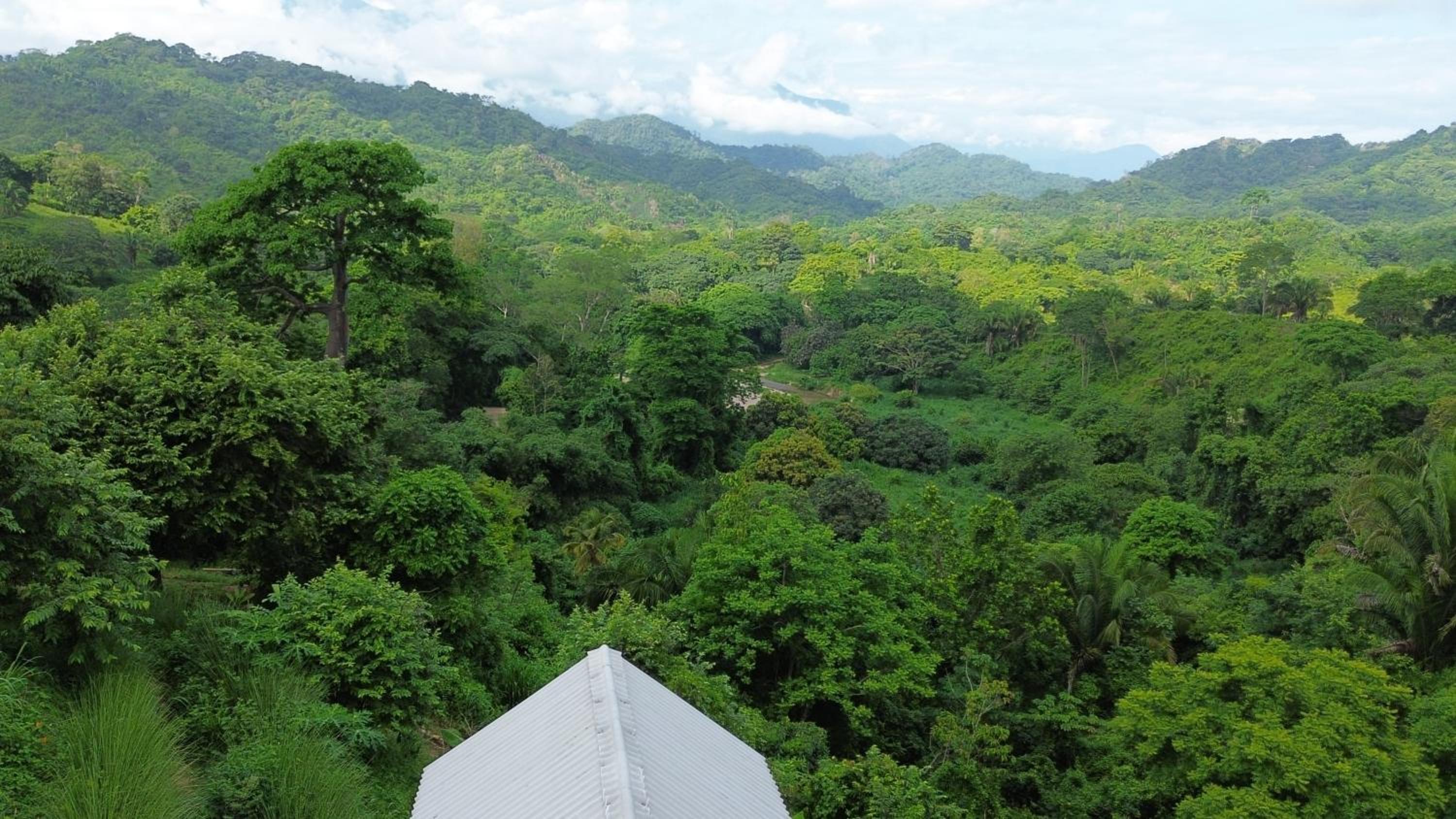 La Mona Eco Cabins