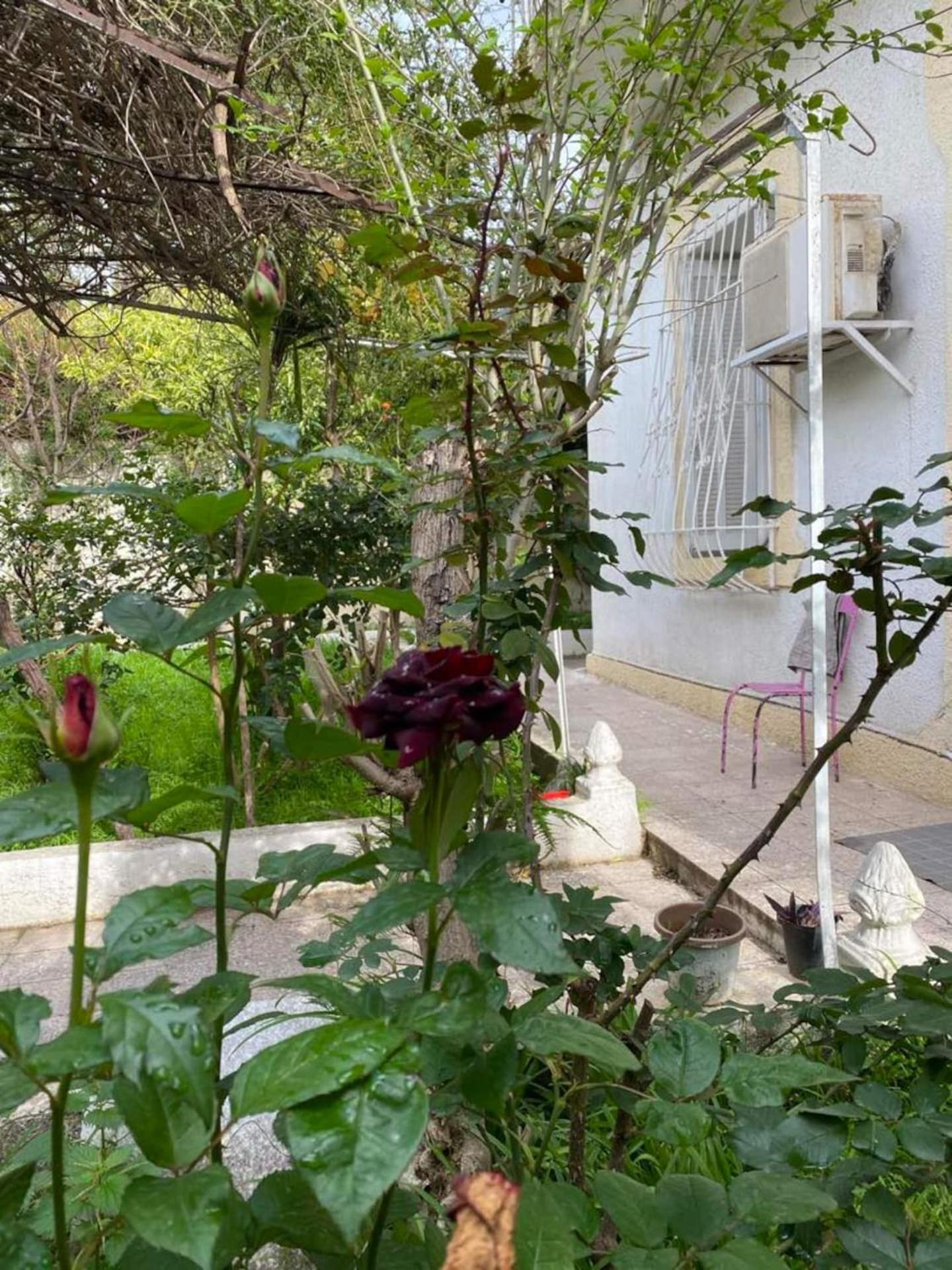 Maison Jardinée