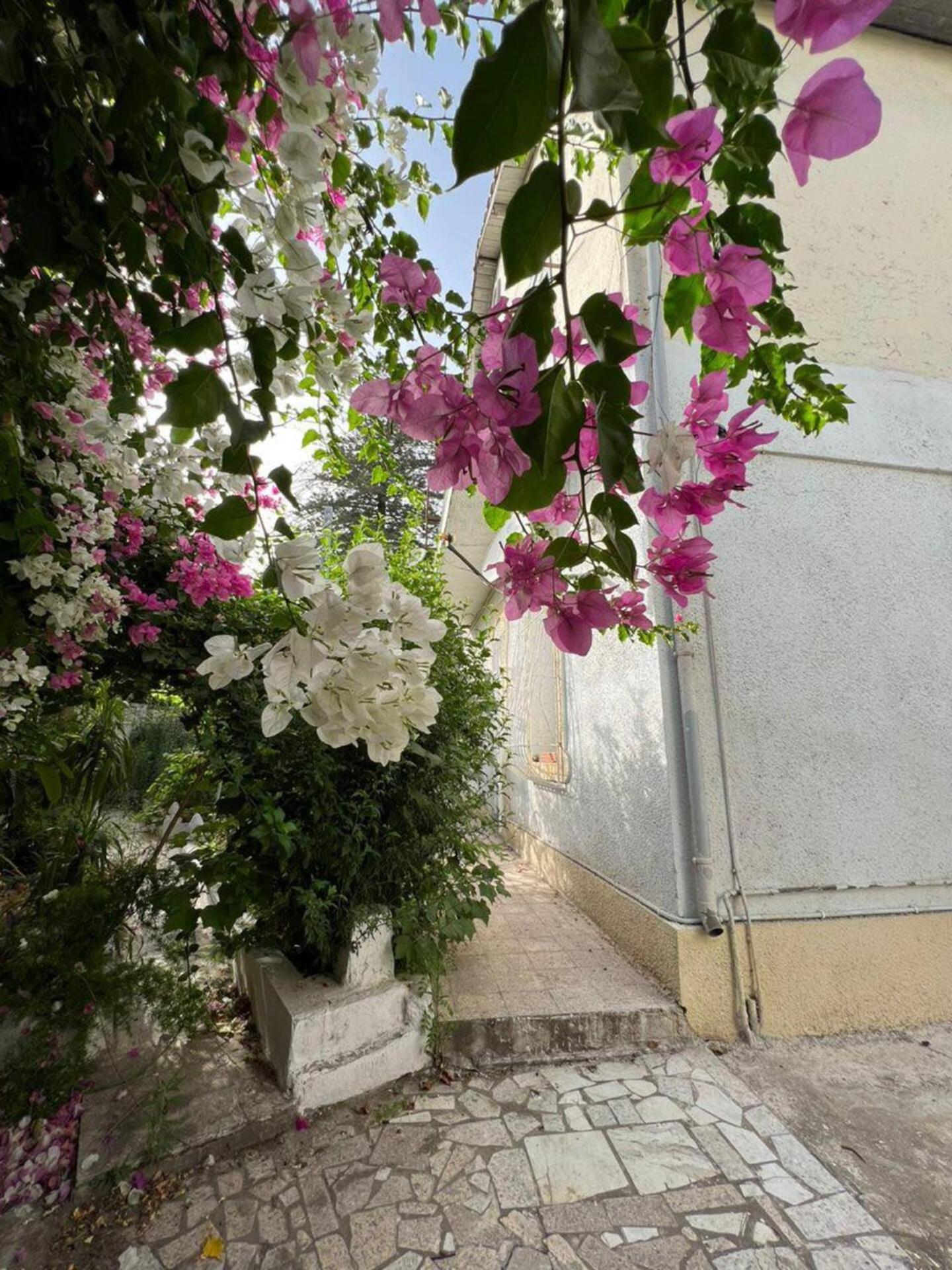 Maison Jardinée