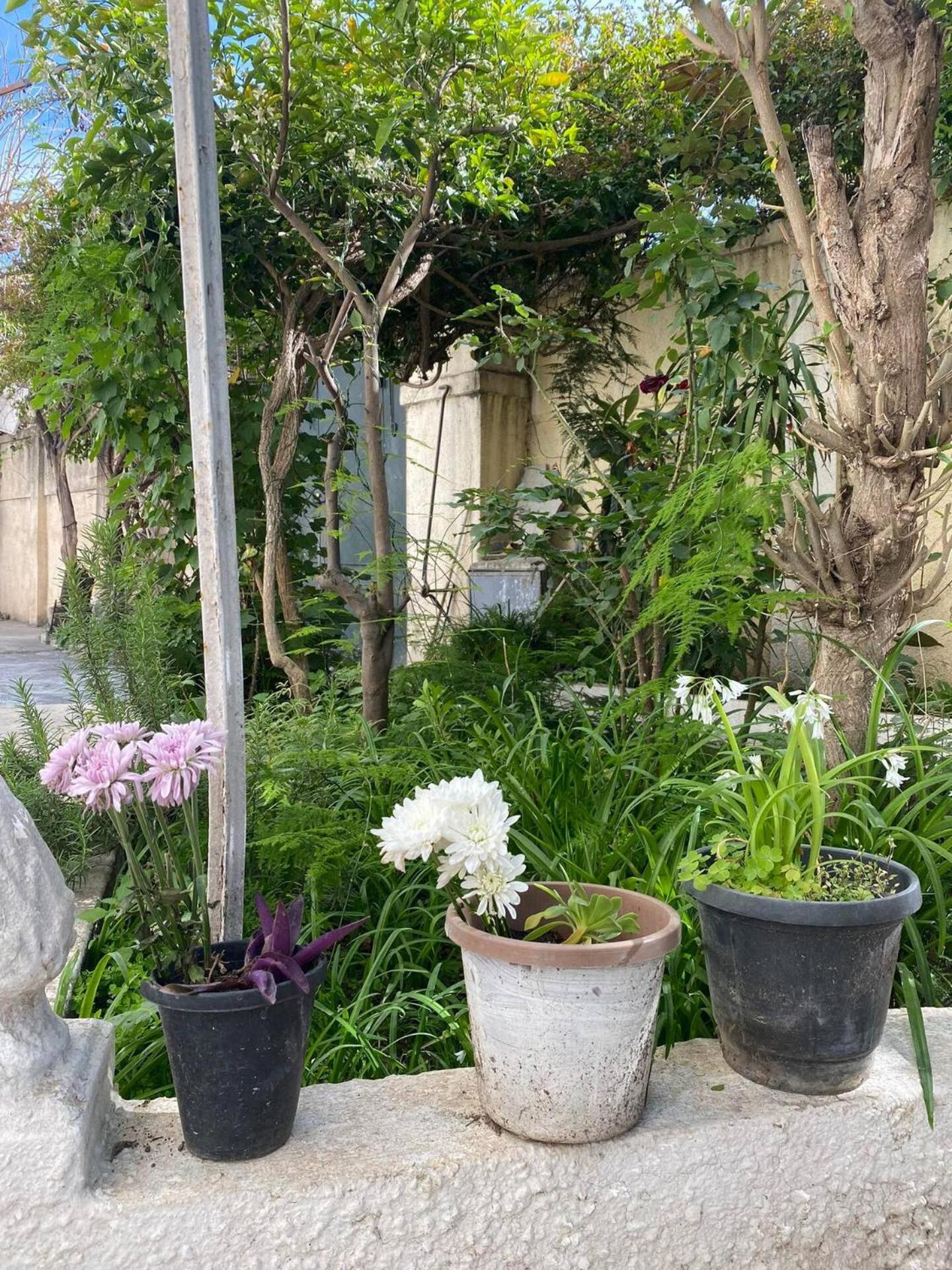 Maison Jardinée