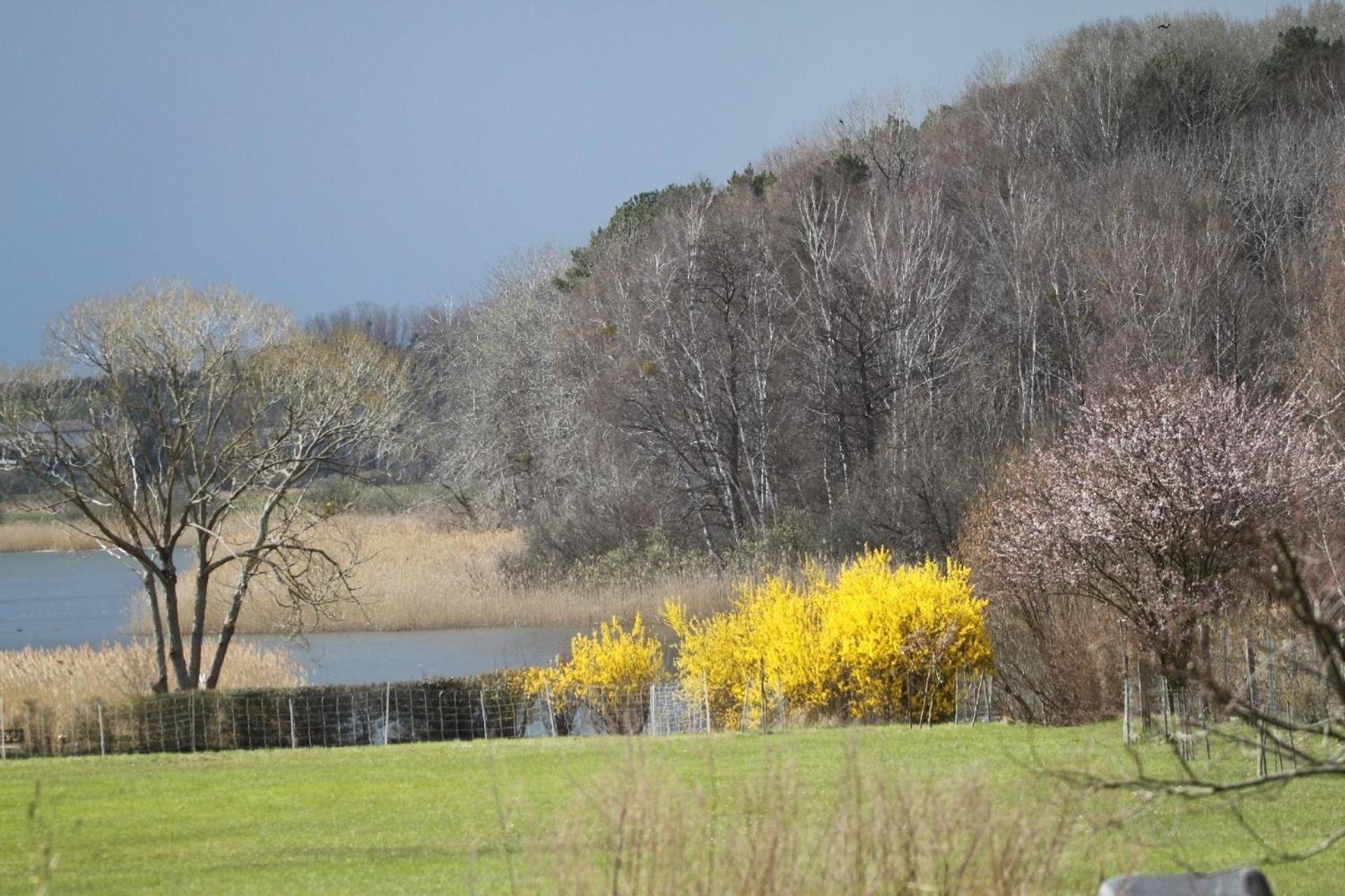 Ferienhaus Am See In Blankensee Groß Schönfeld