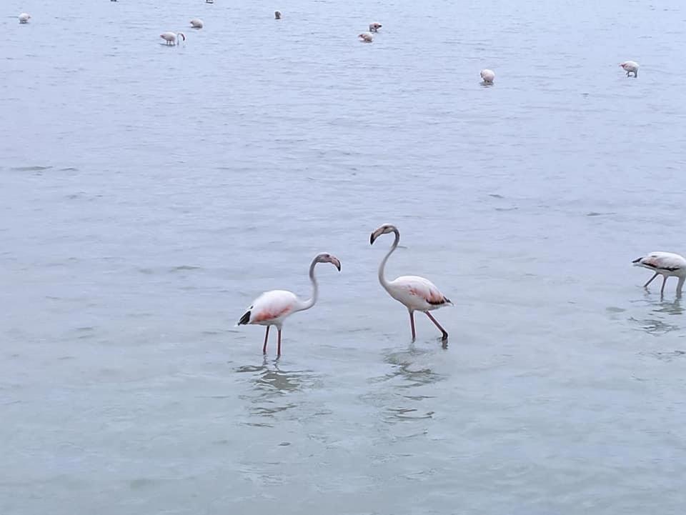 other