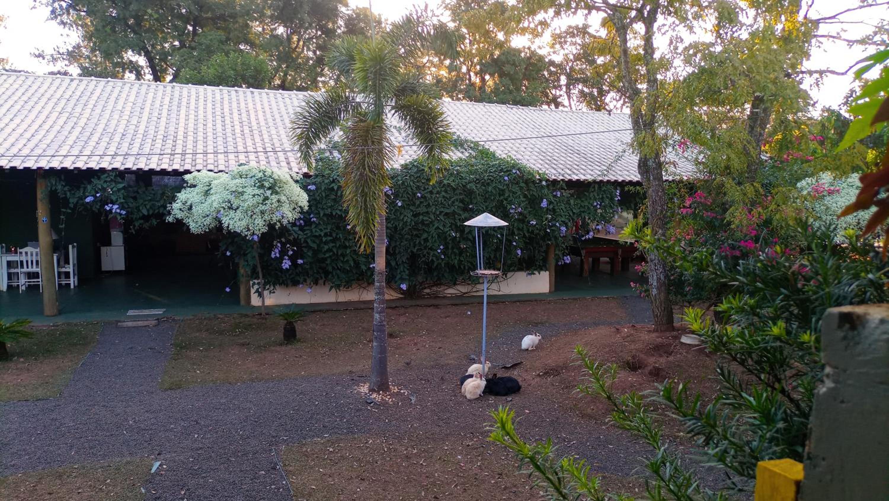 Biomas Hotel